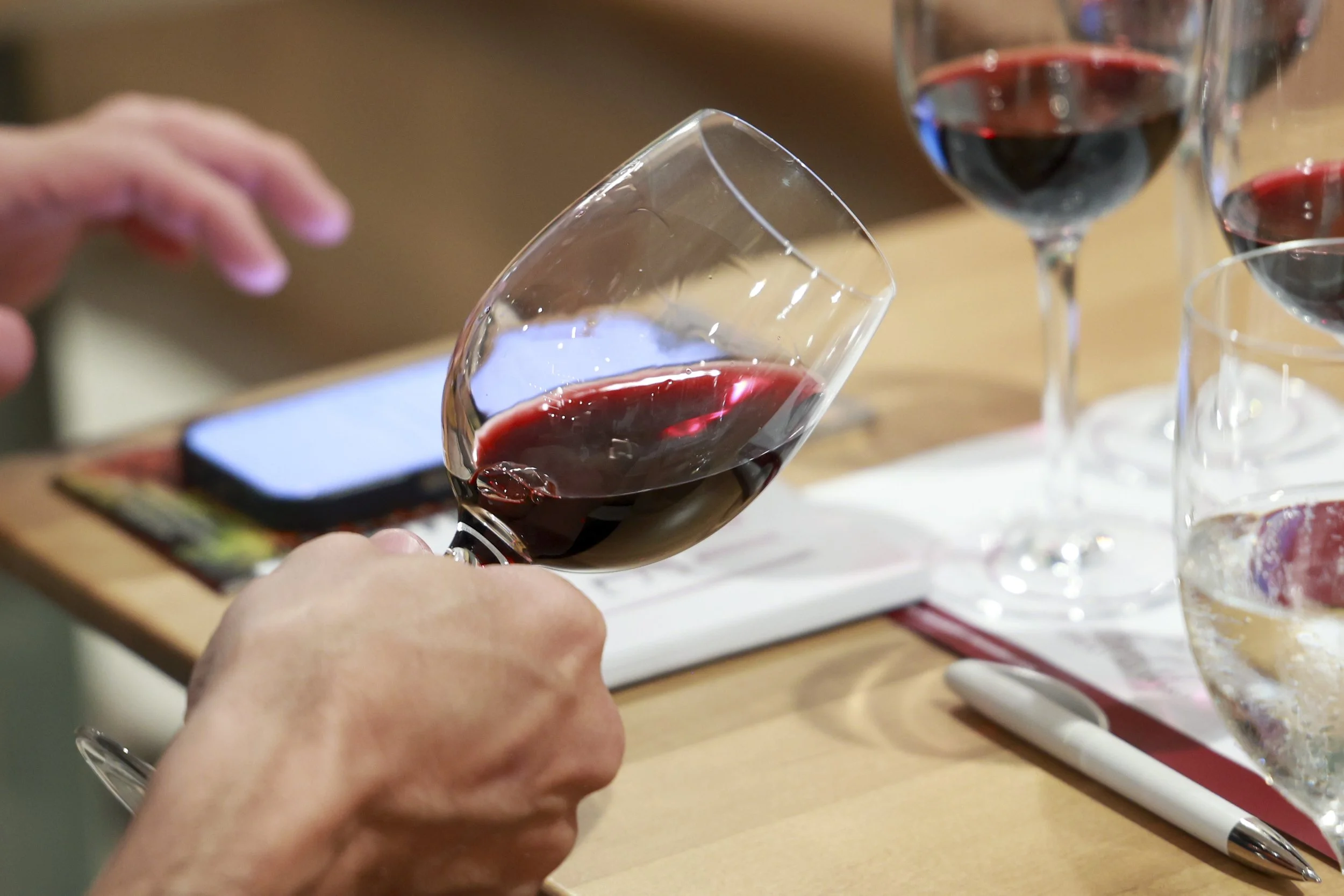 Ribera Duero  34.JPG
