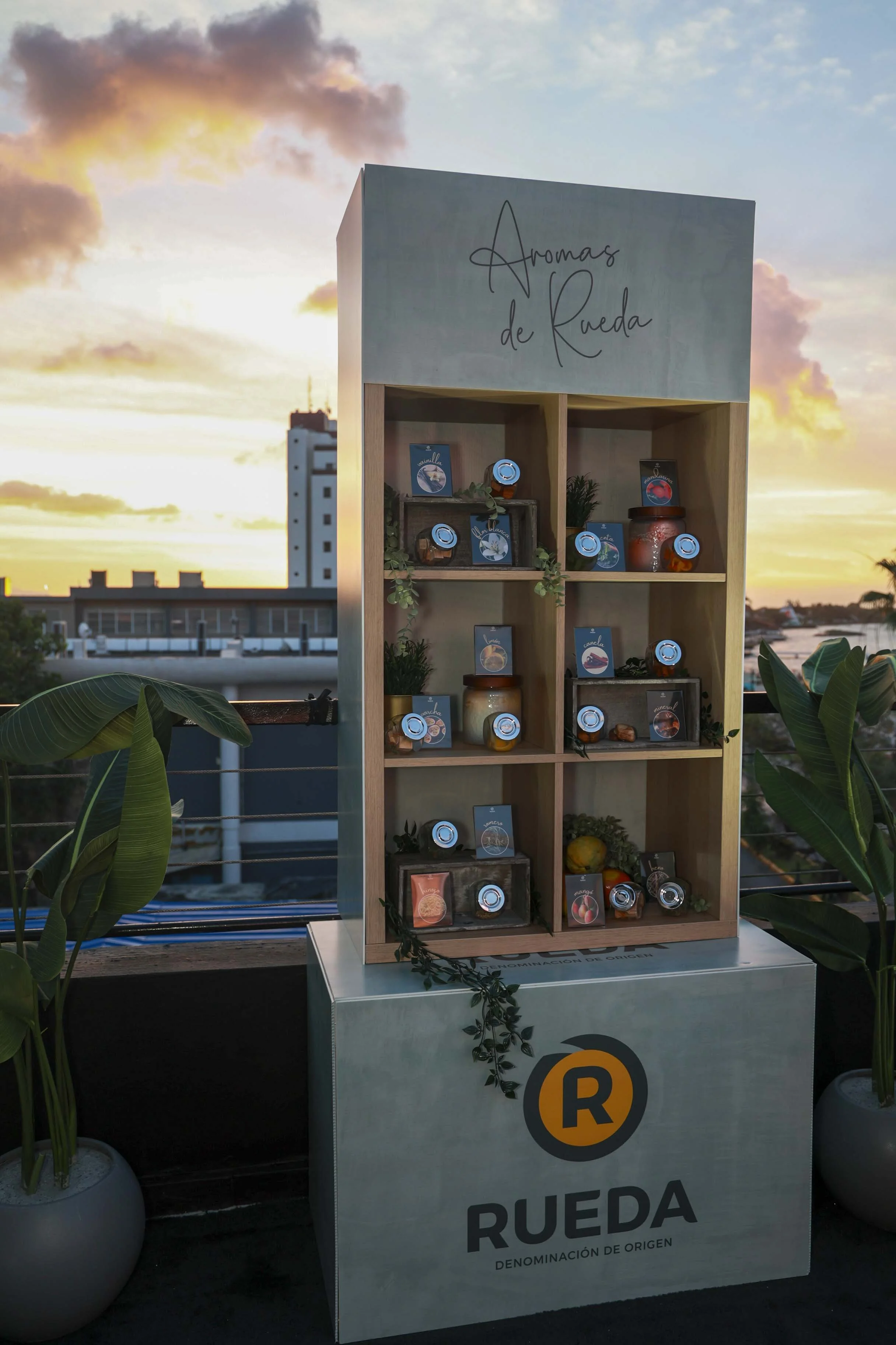 Rueda After Dark_26.JPG