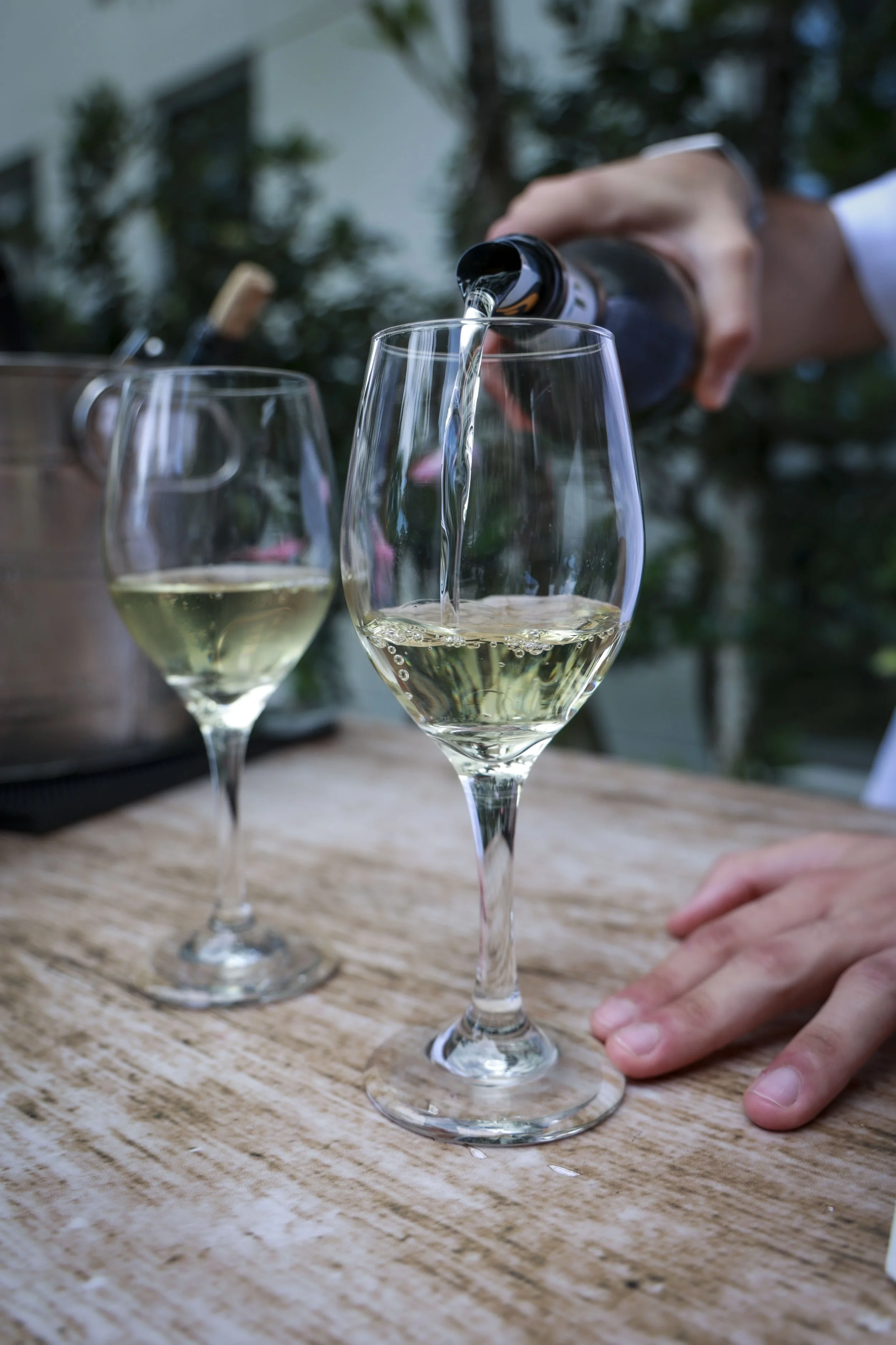 World Verdejo Day_ 38.JPG