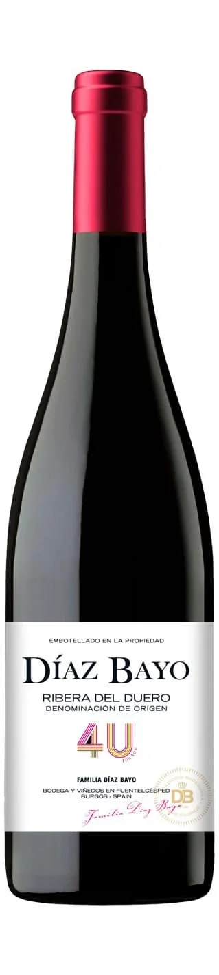 4u-diaz bayo.jpeg
