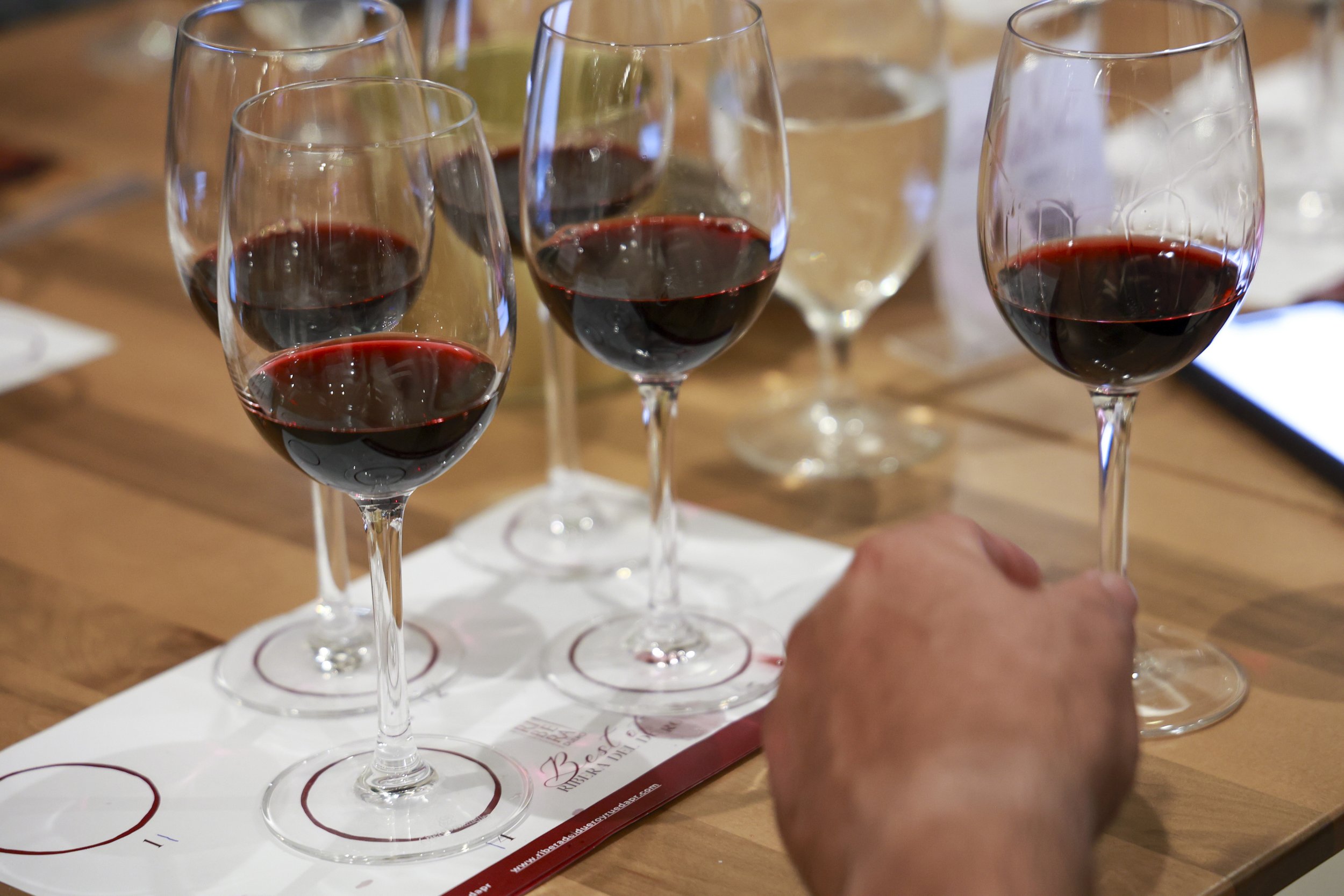 Ribera del Duero  22.JPG