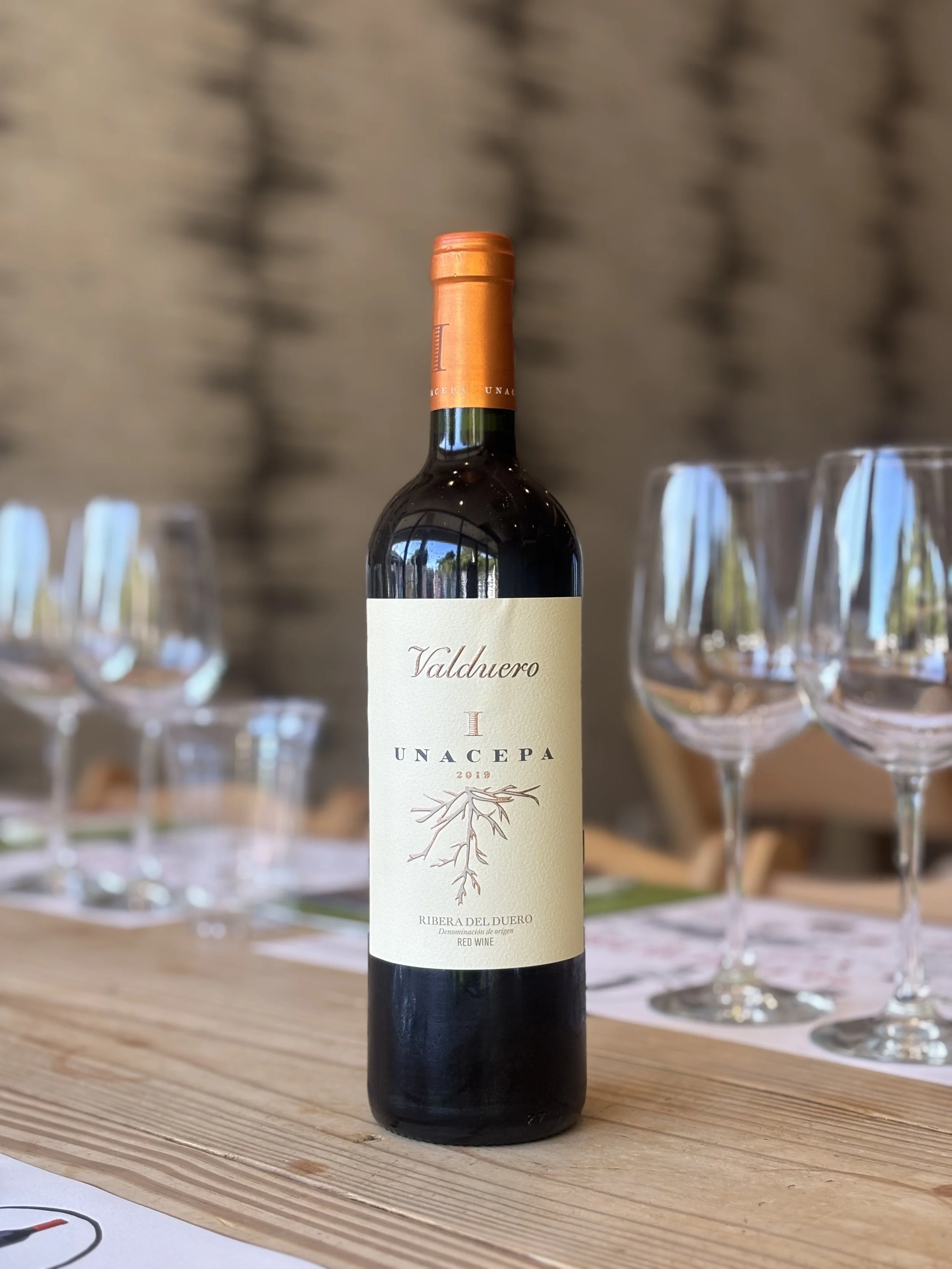 Valduero Una Cepa, 2020, Bodegas Valduero