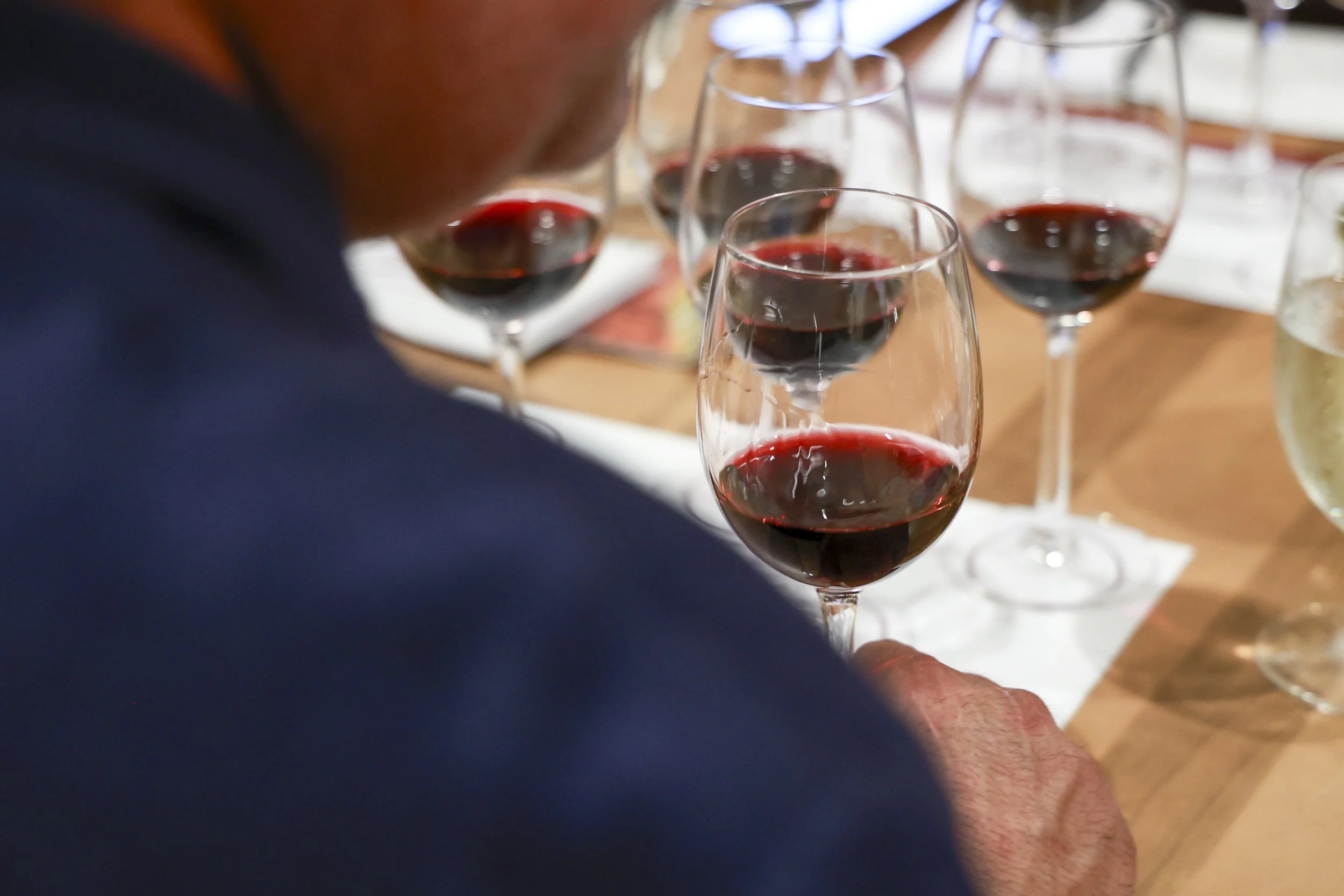 Ribera del Duero  21.JPG
