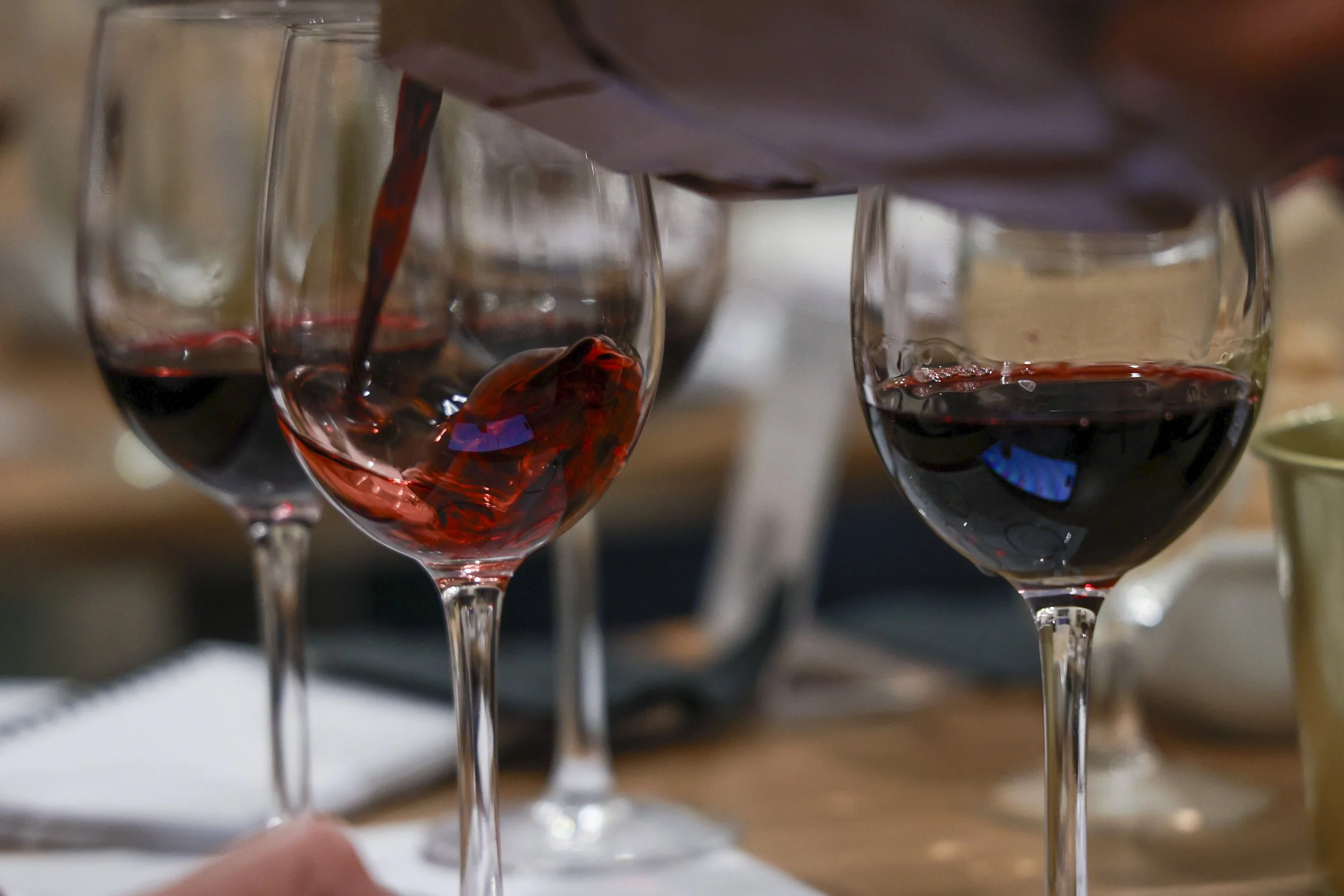Ribera Duero  52.JPG
