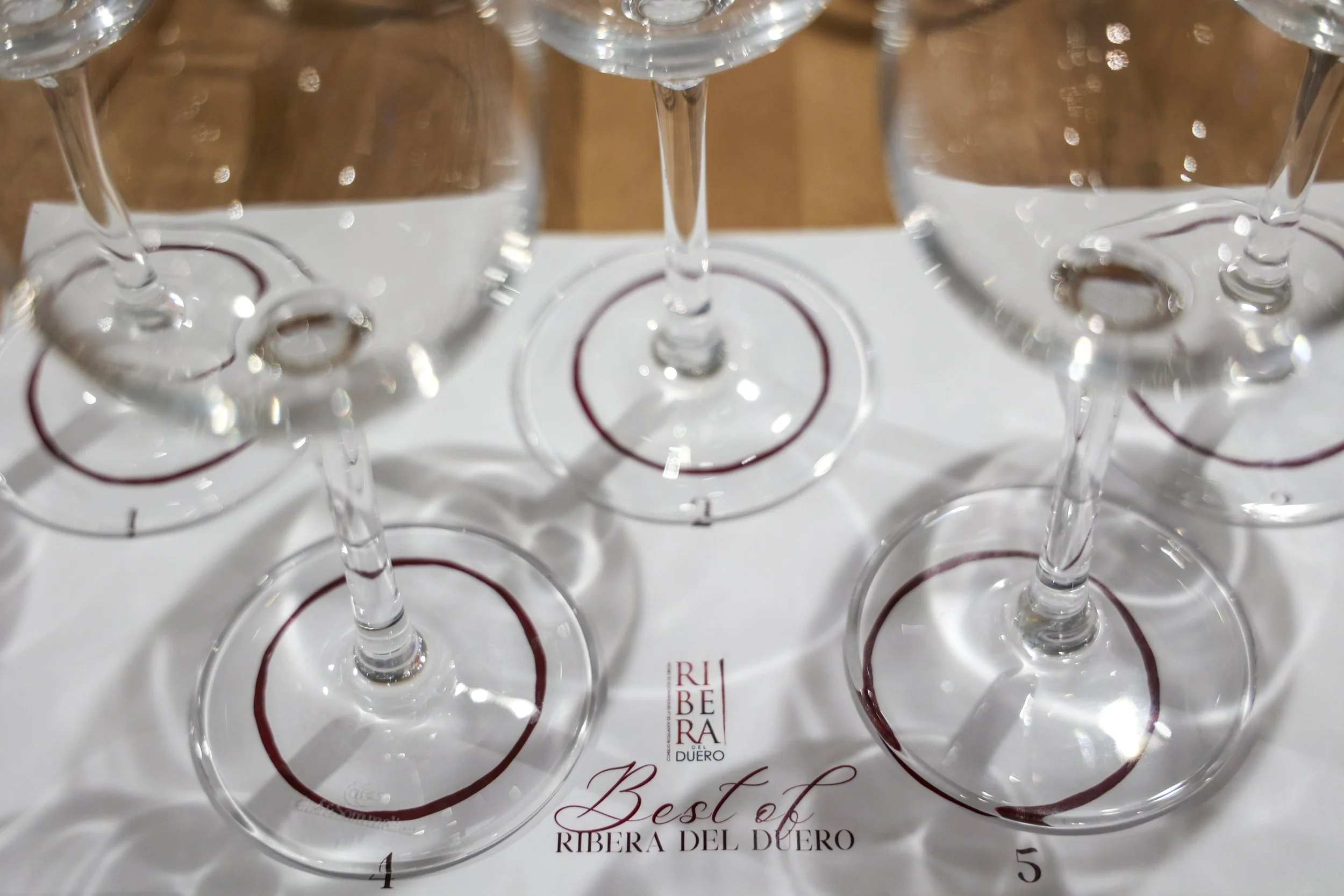 Ribera del Duero  7.JPG