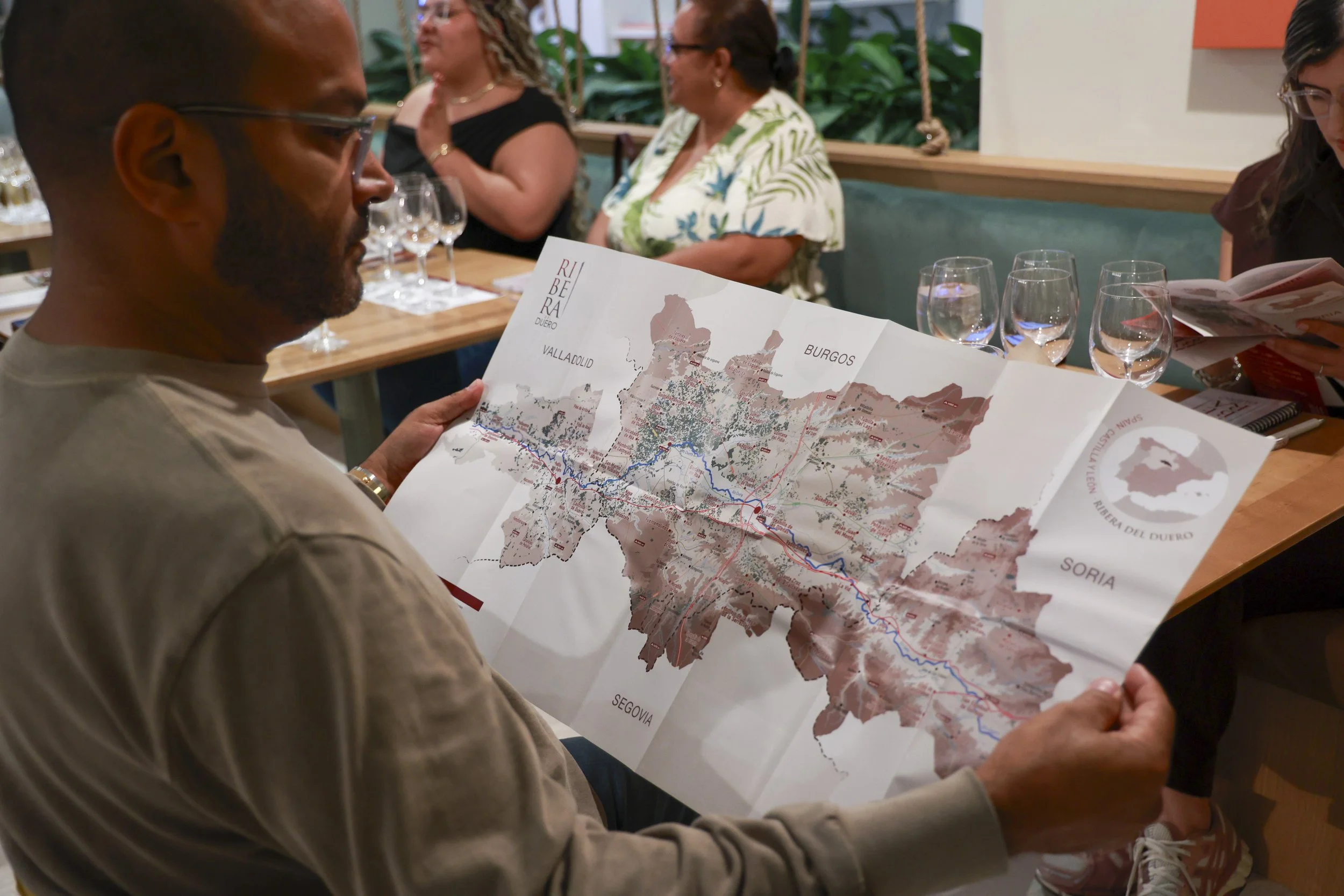 Ribera del Duero  8.JPG