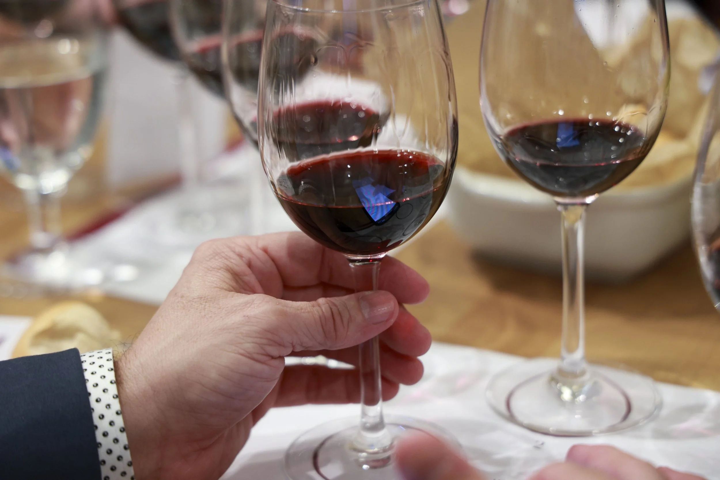 Ribera Duero  30.JPG