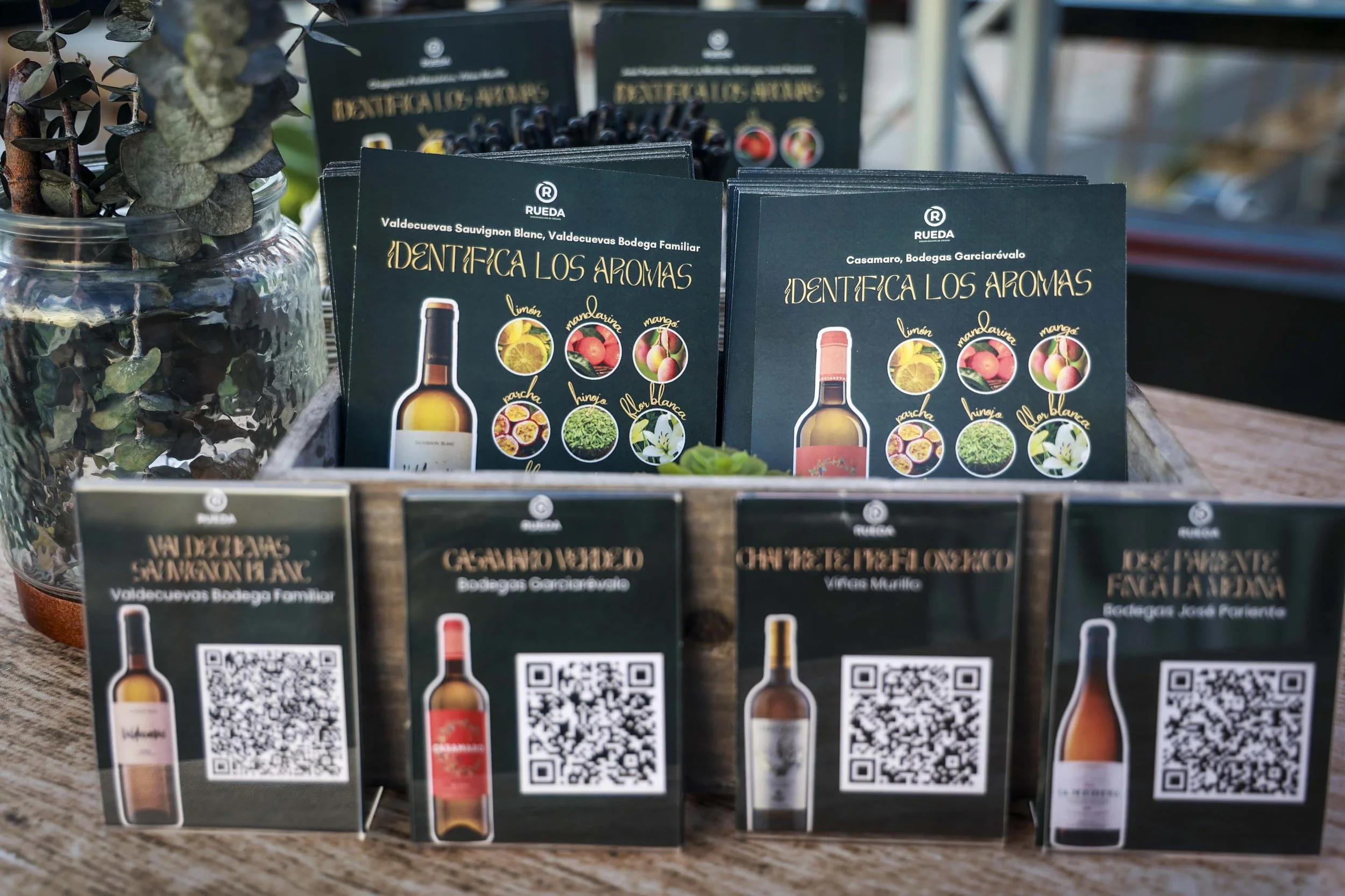 Rueda After Dark_1.JPG