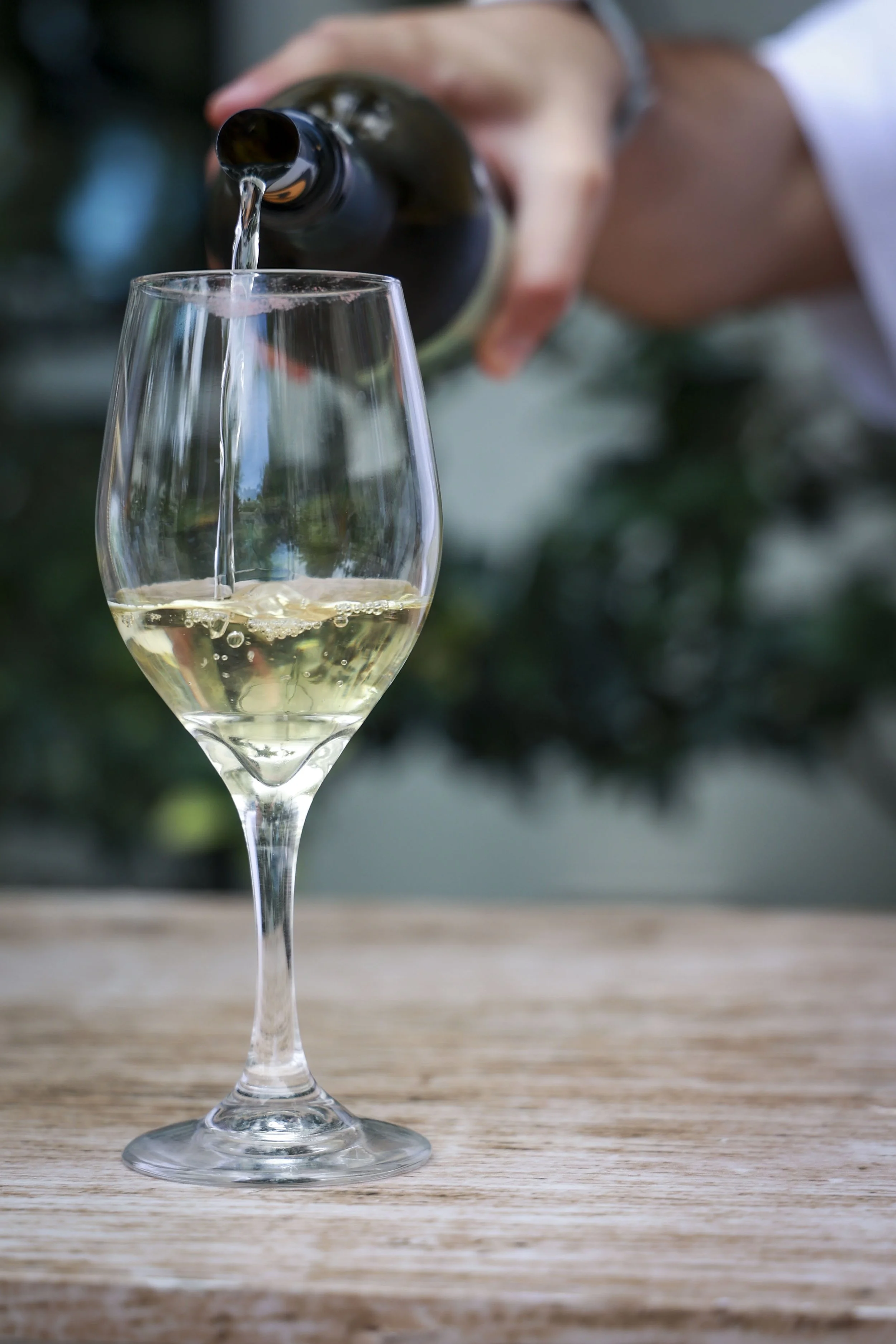 World Verdejo Day_ 42.JPG