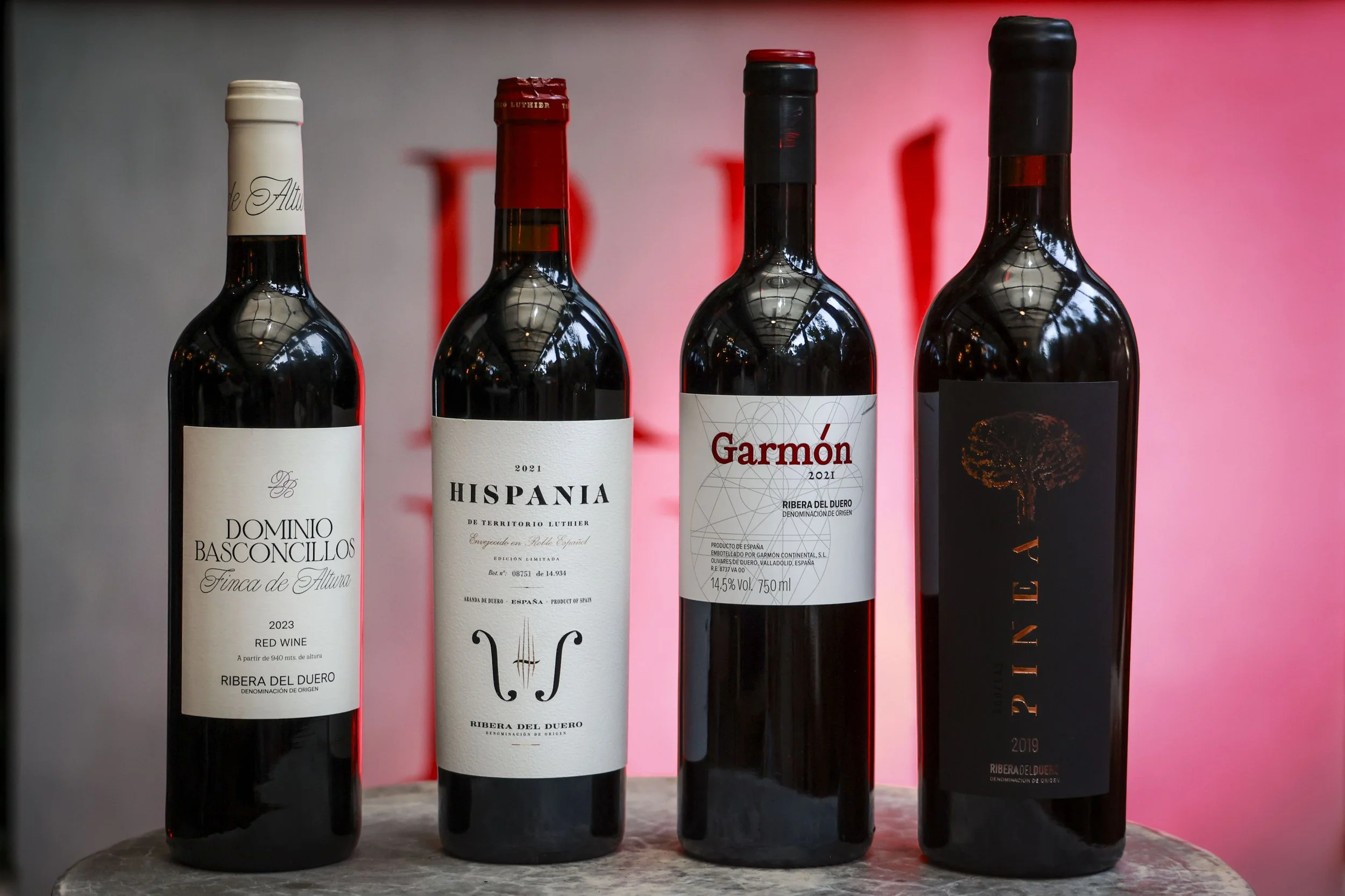 Ribera del Duero  14.JPG