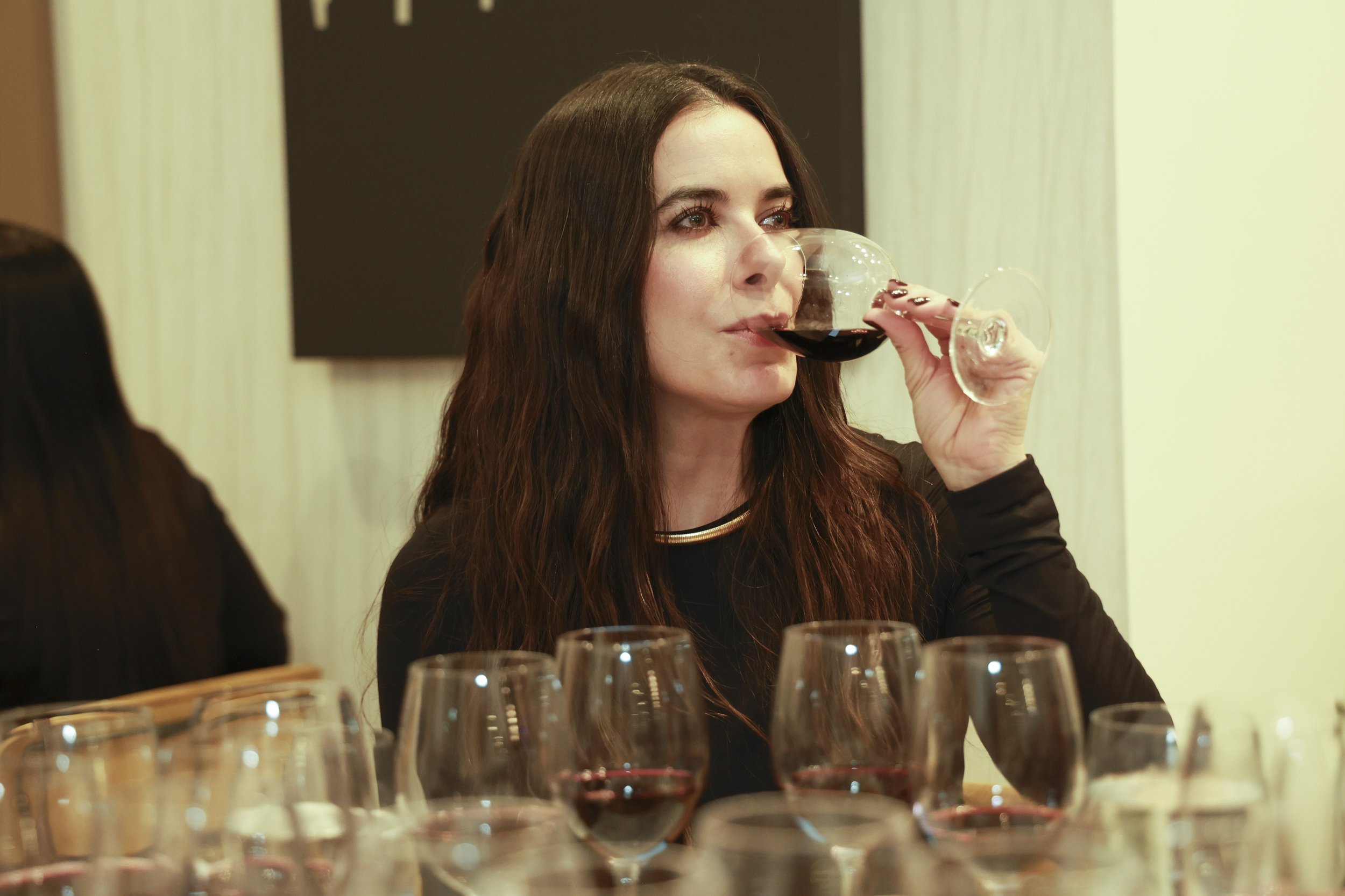 Ribera Duero  29.JPG
