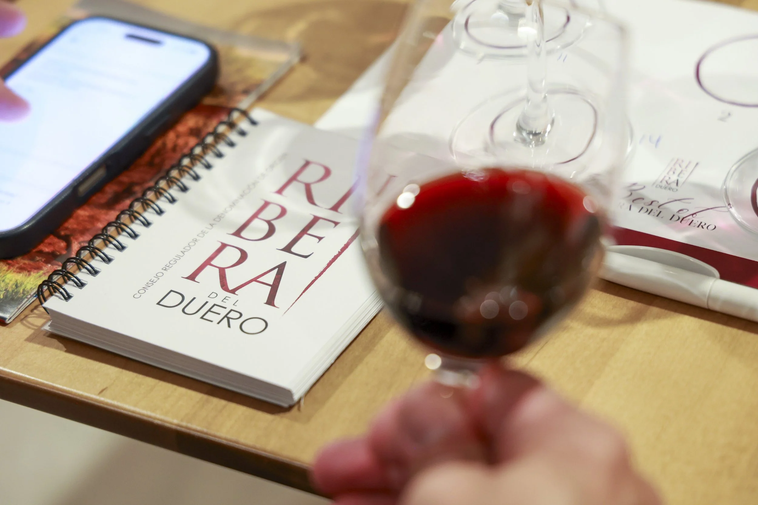 Ribera Duero  36.JPG