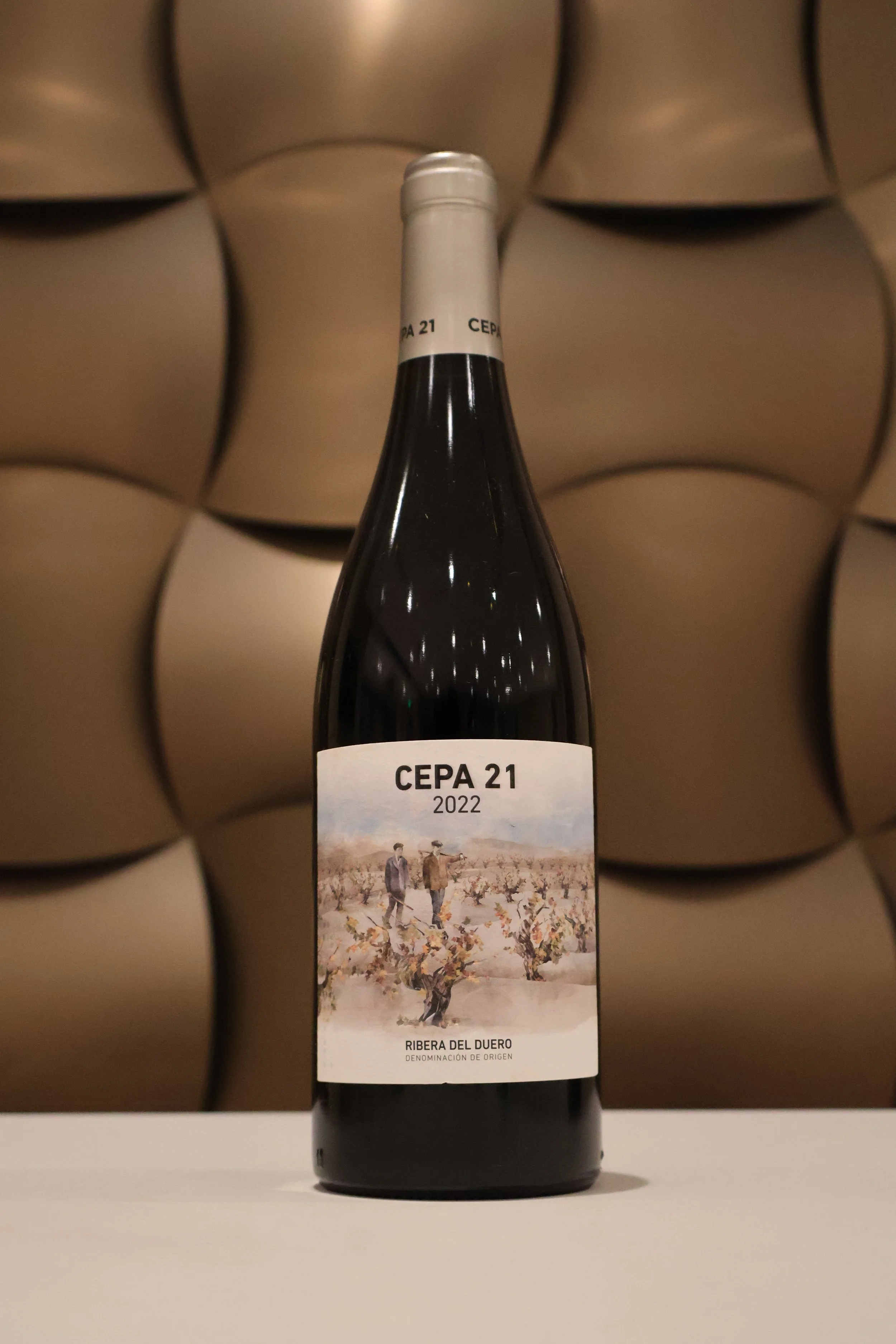 Cepa 21, 2022 - Bodegas Cepa 21, S.A.