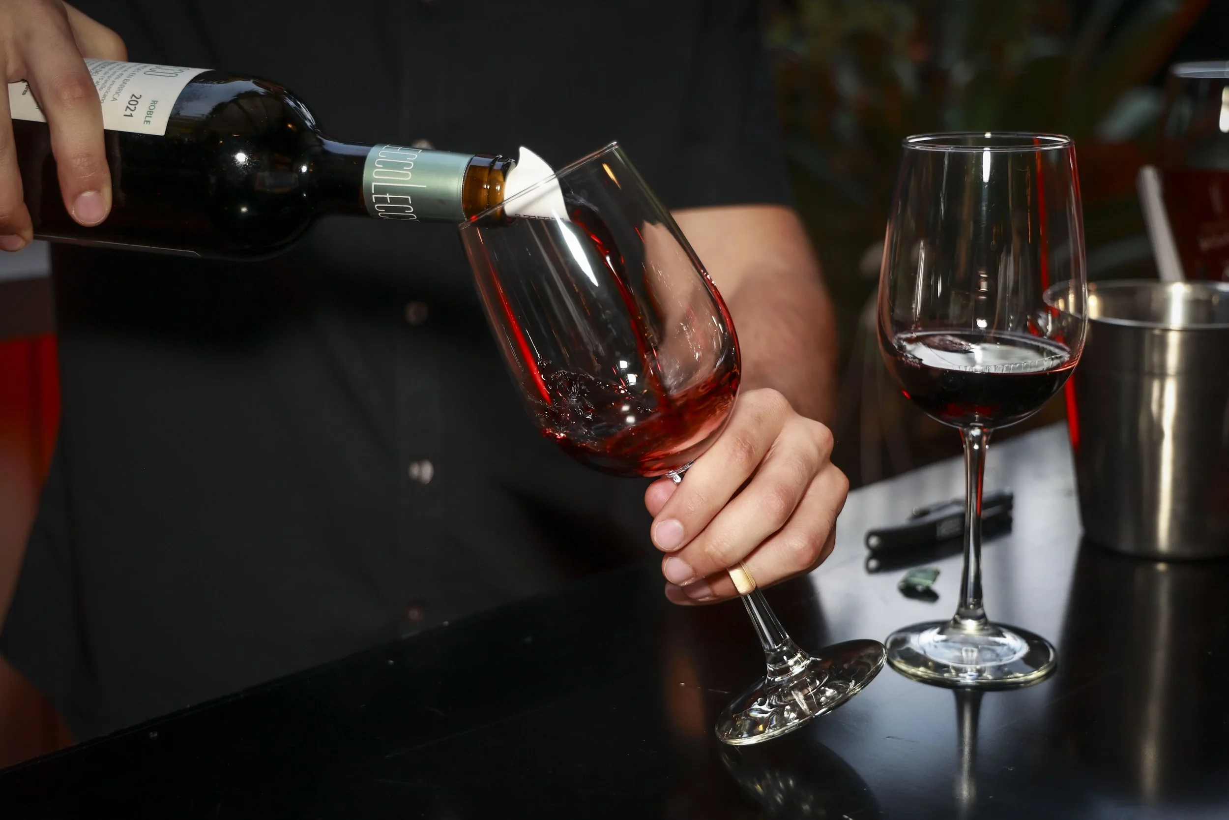 Ribera del Duero  25.JPG