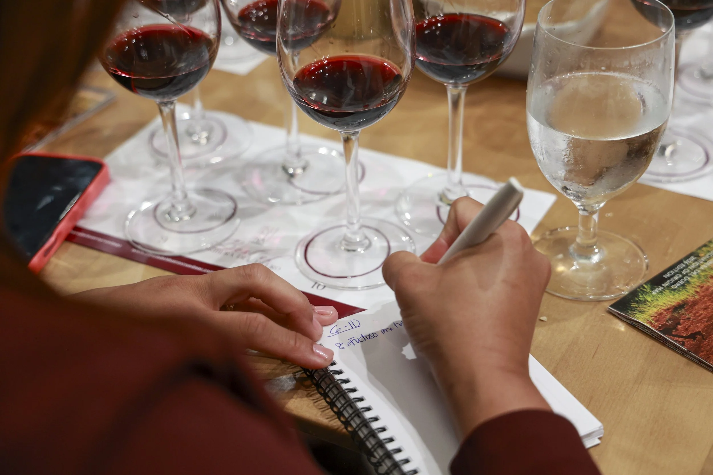 Ribera Duero  59.JPG