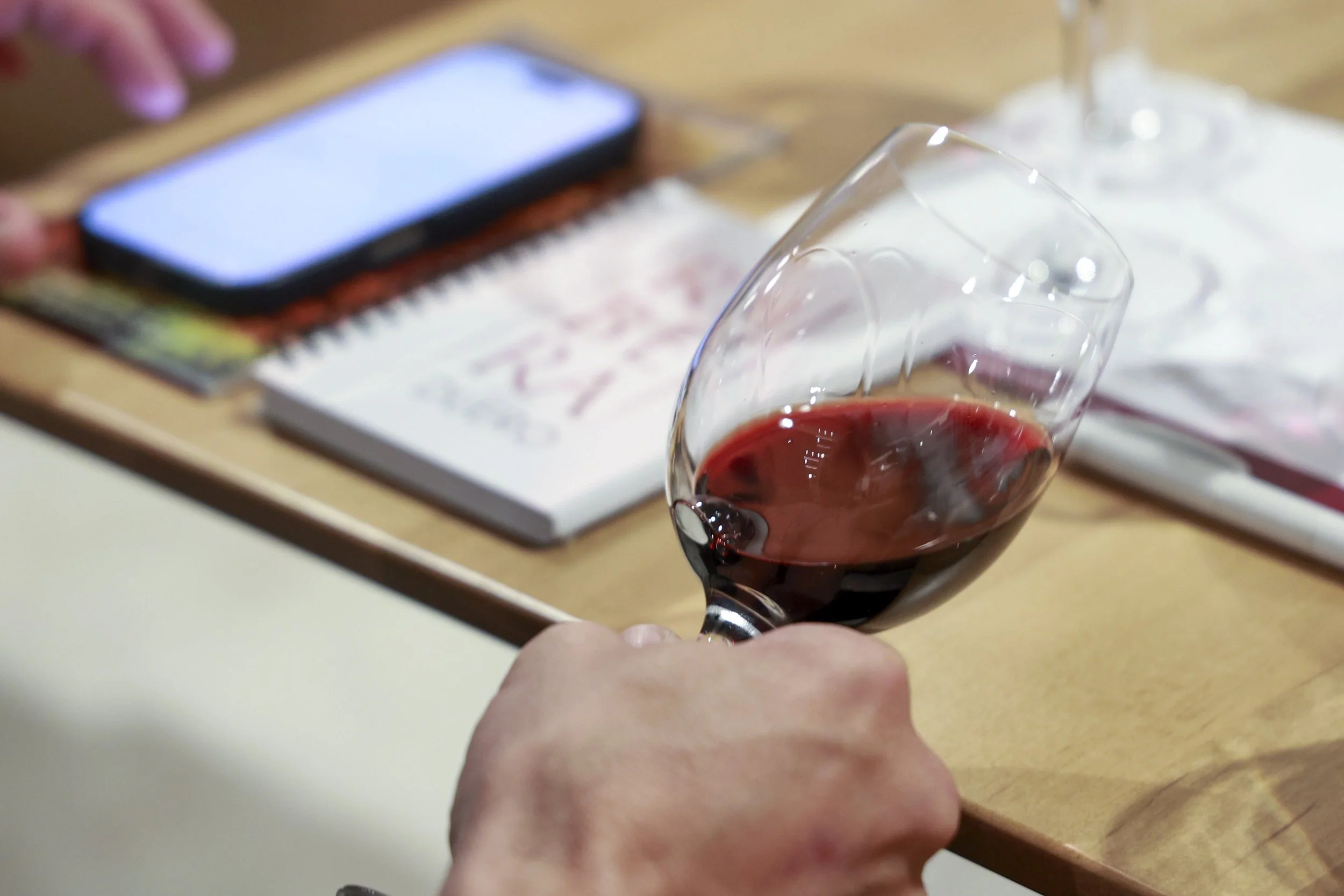 Ribera Duero  35.JPG