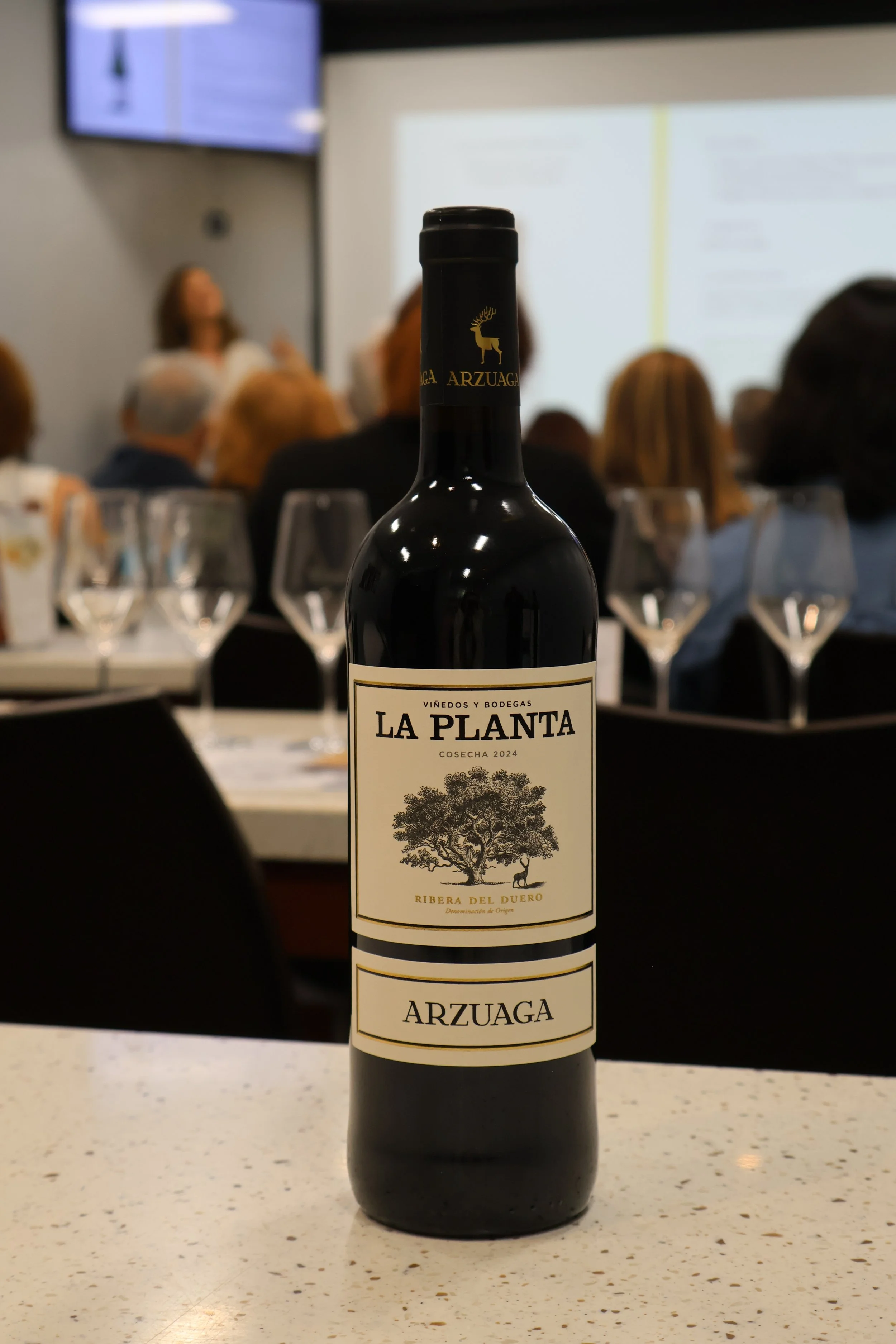 La Planta, Bodegas Arzuaga