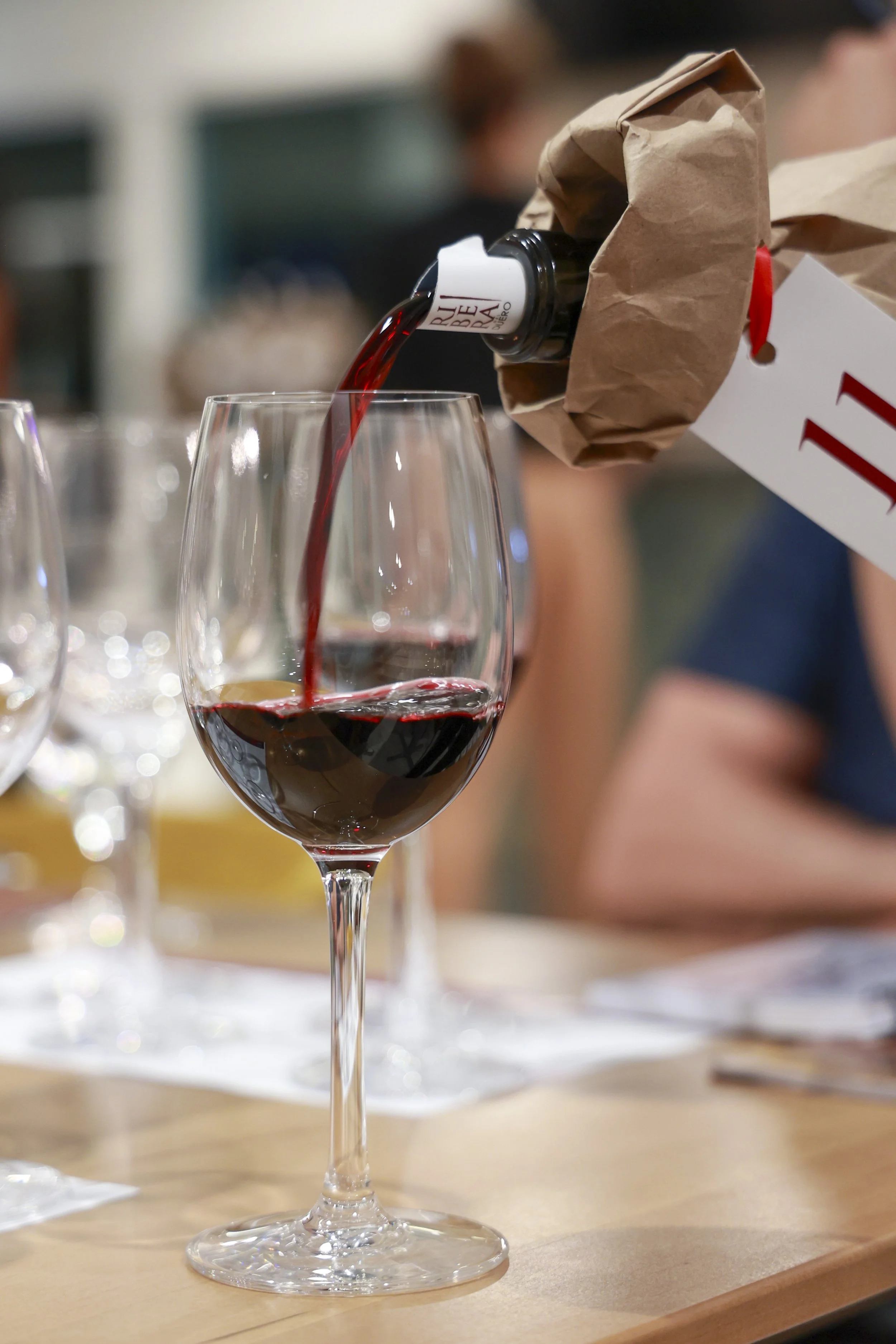 Ribera del Duero  16.JPG