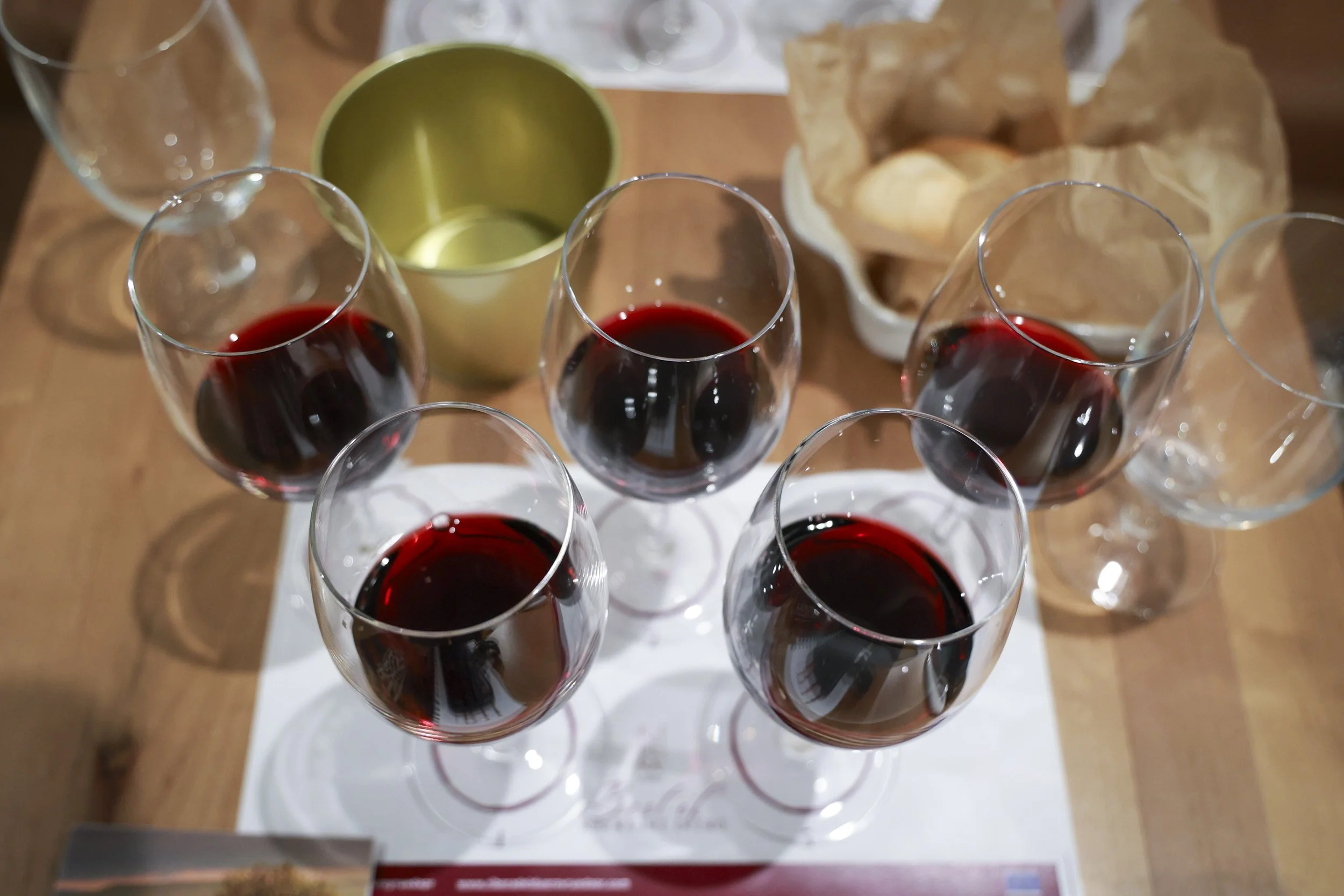 Ribera del Duero  26.JPG