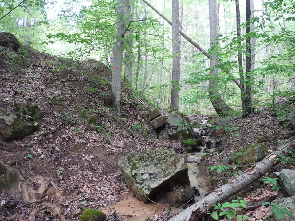 small stream.jpg