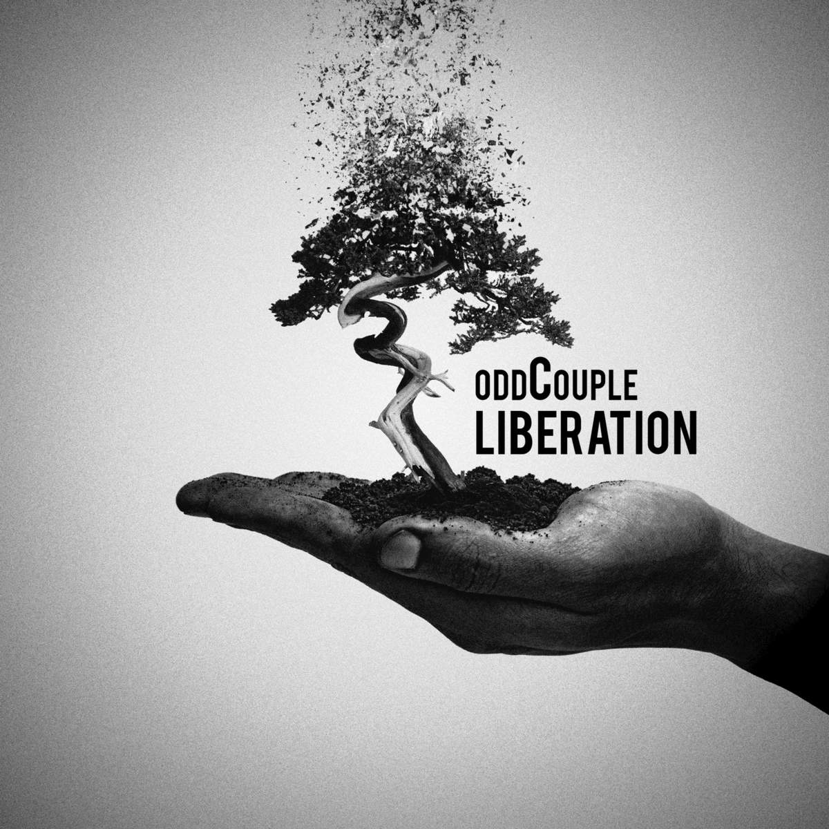 oddCouple - Liberation