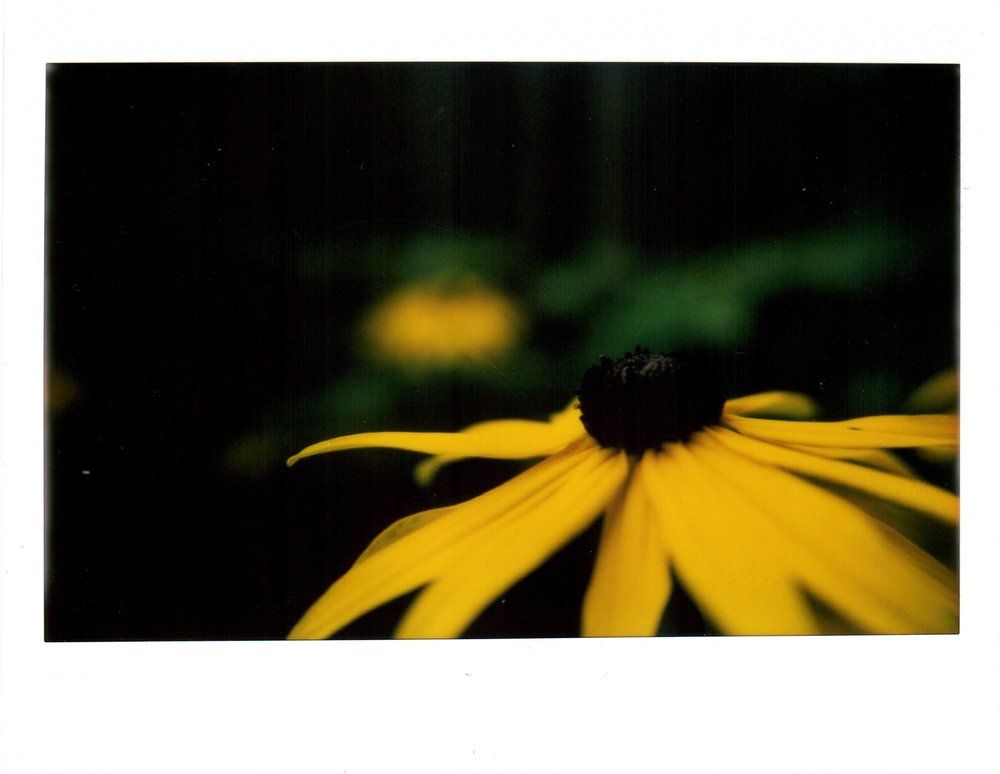 Lomo'Instant with macro diopter