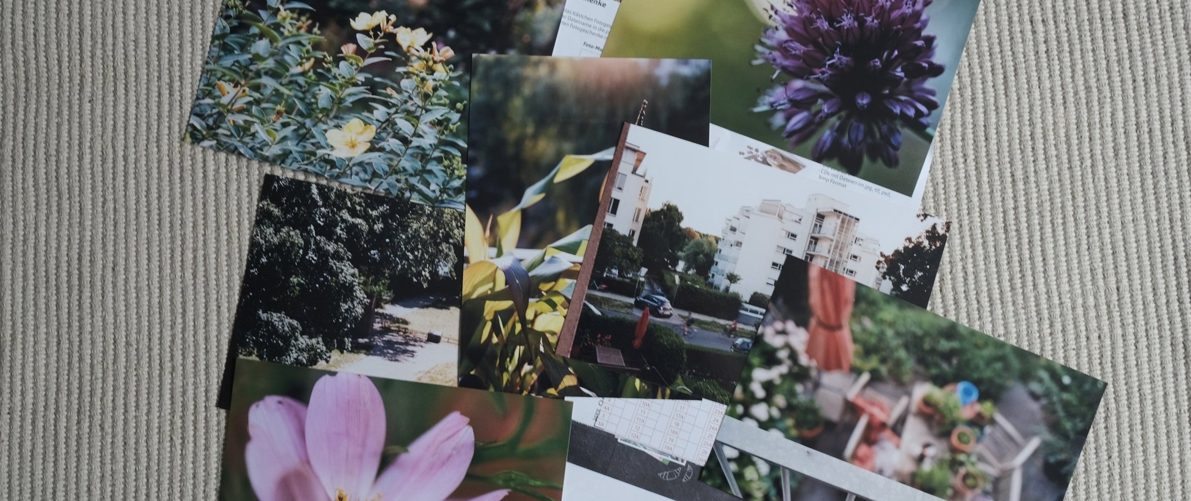 Film Photography / Part 2