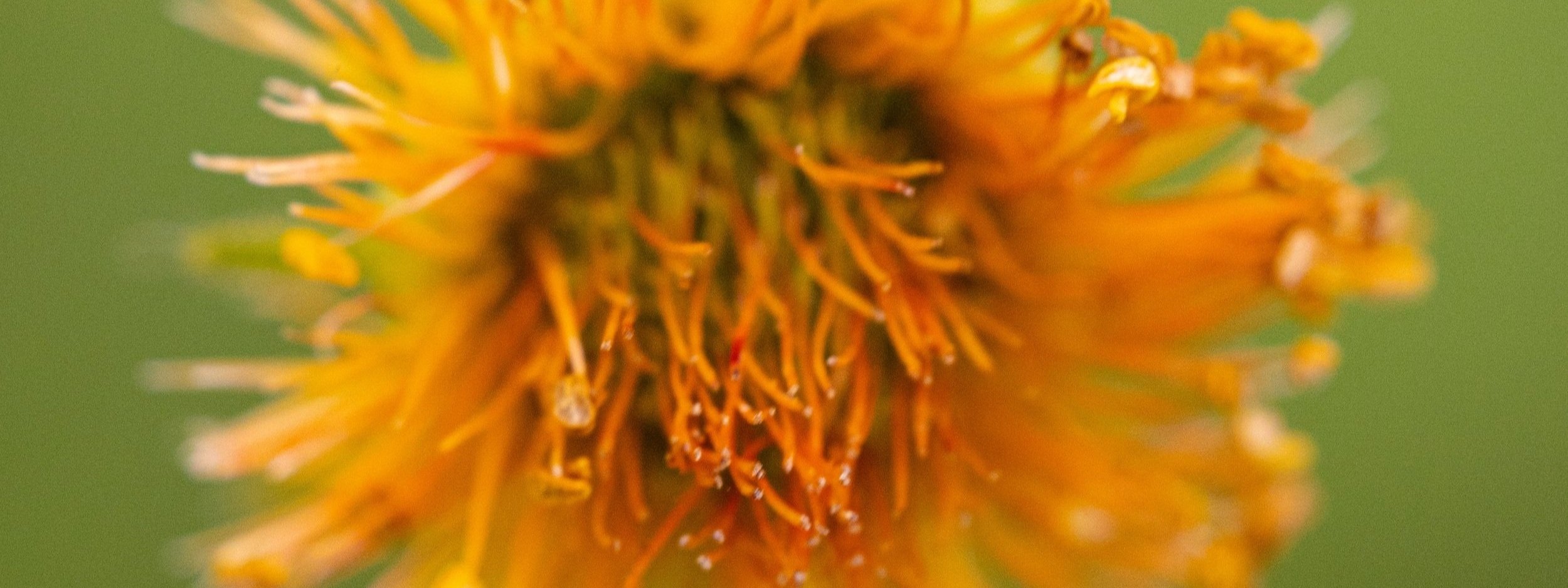 Photography Squared