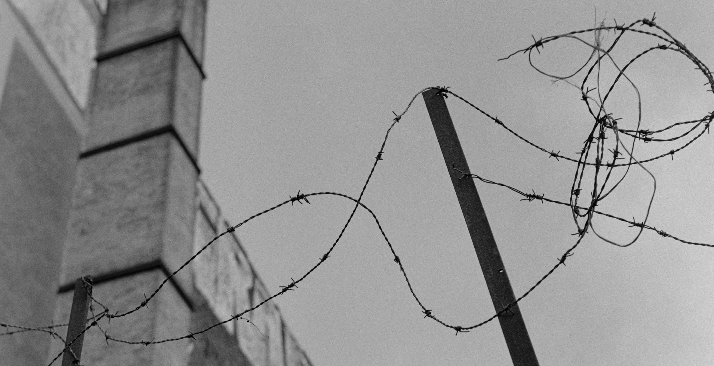 Barbed Wires