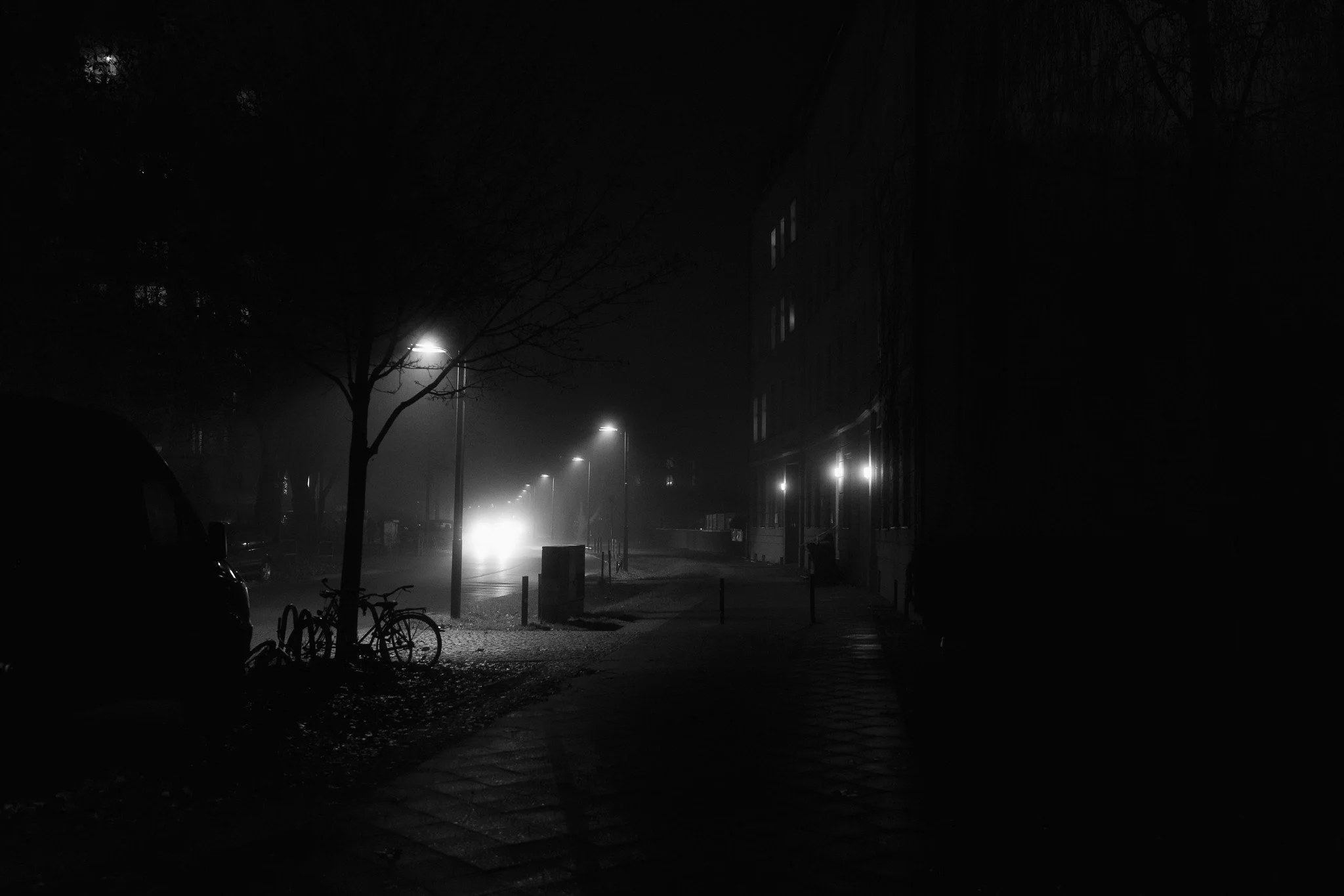 54996064275_c8b94b953c_k (1).jpg