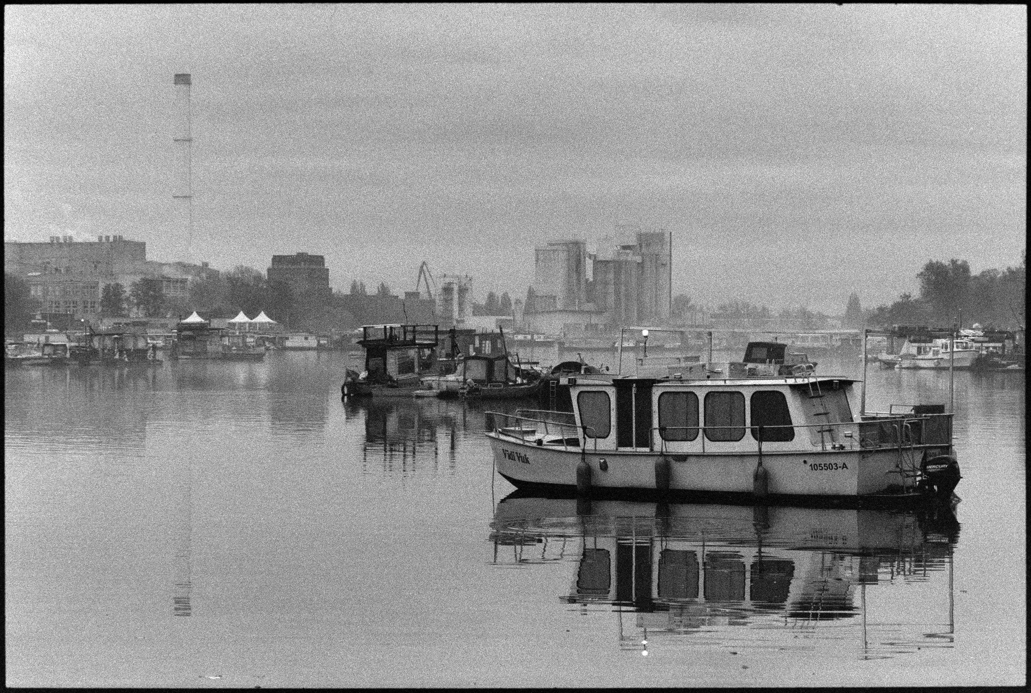 54909523668_7157a4bd1c_k (2).jpg