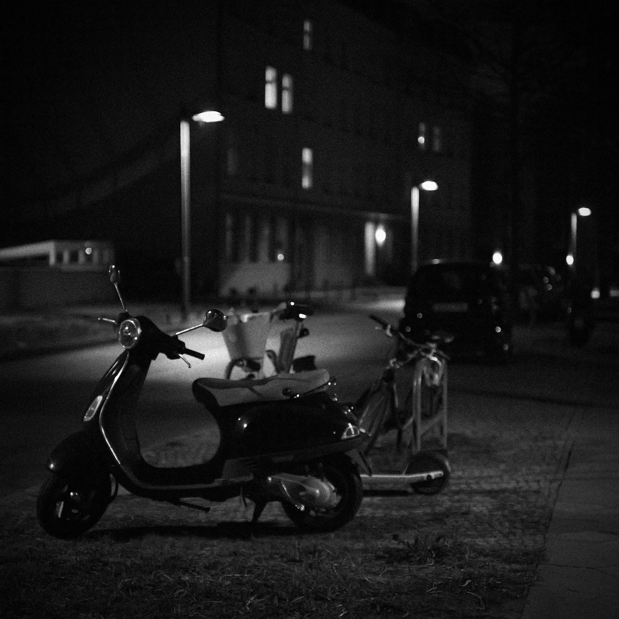 54453084891_3639c31847_k (1).jpg