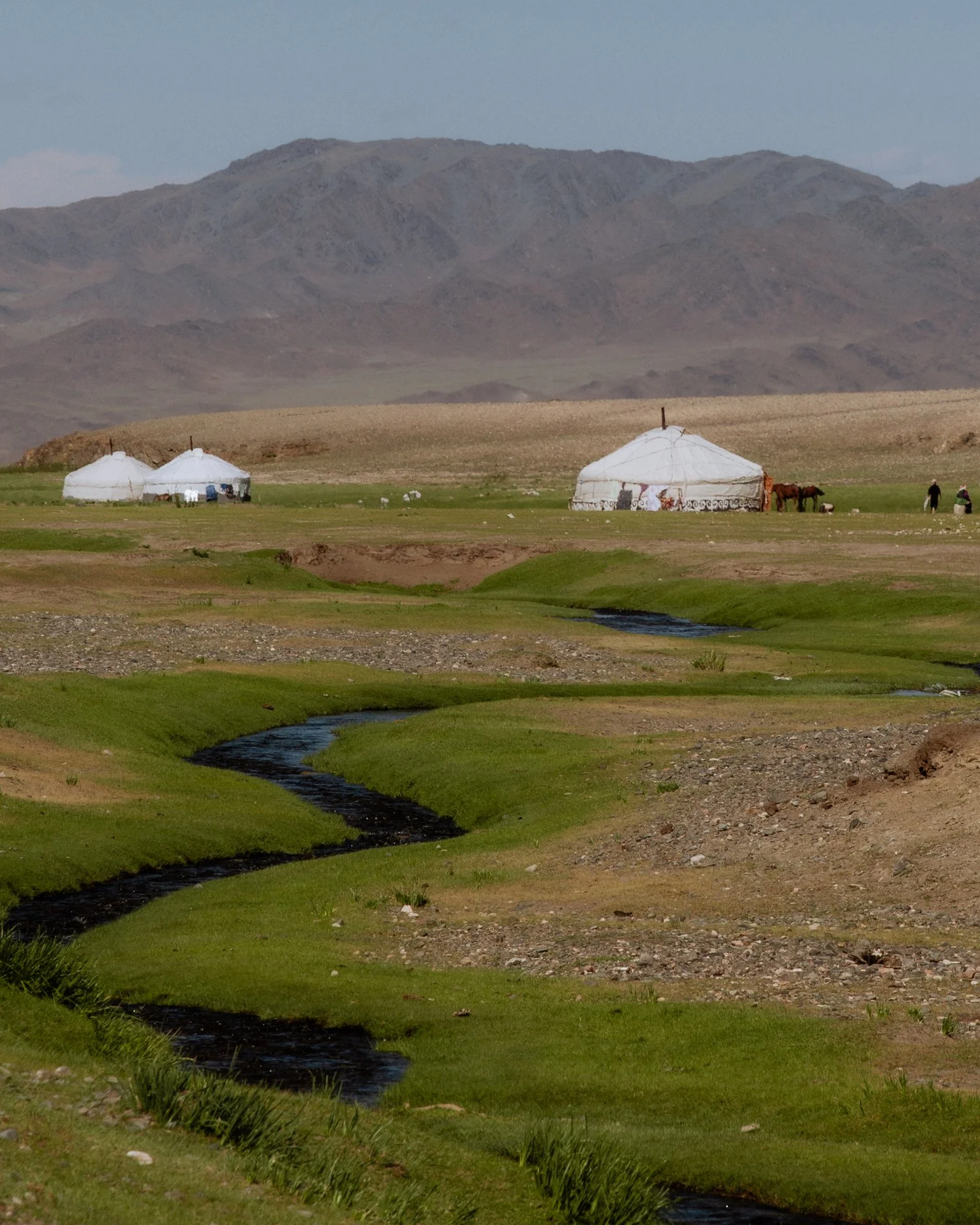 B0008325.jpg