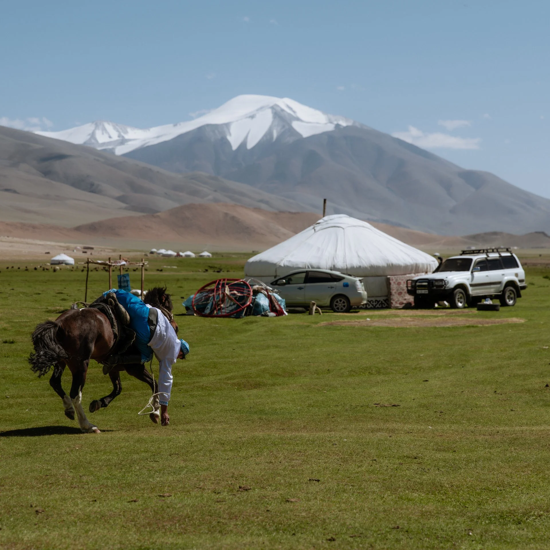 B0008268.jpg
