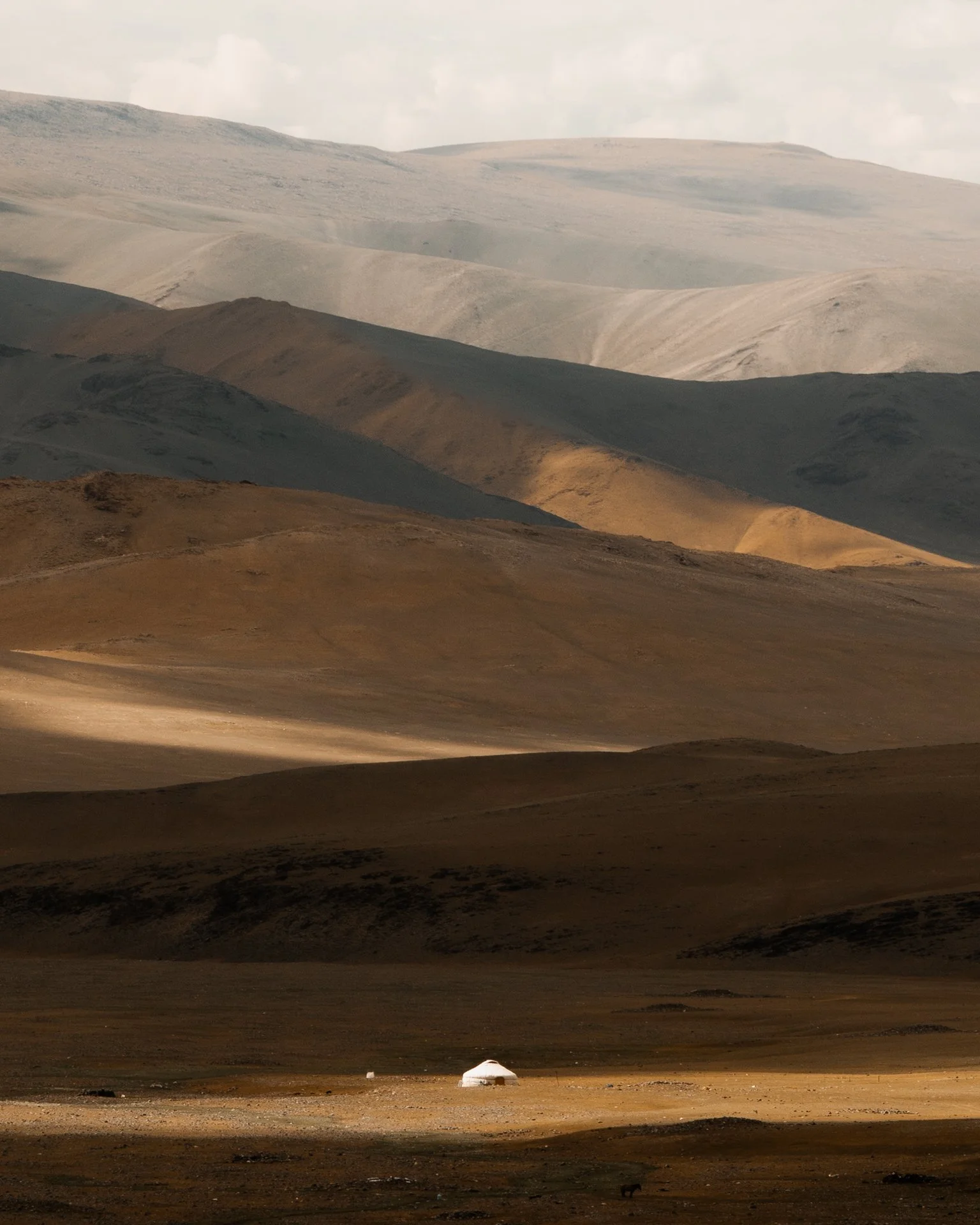 B0007784.jpg