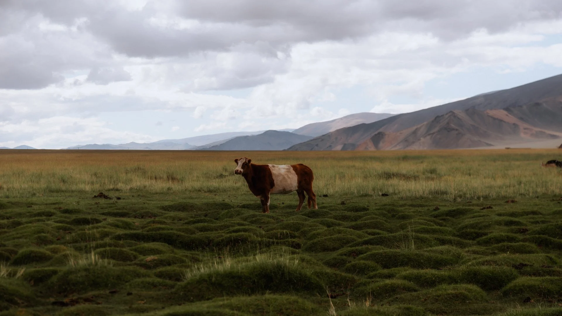 B0007760.jpg