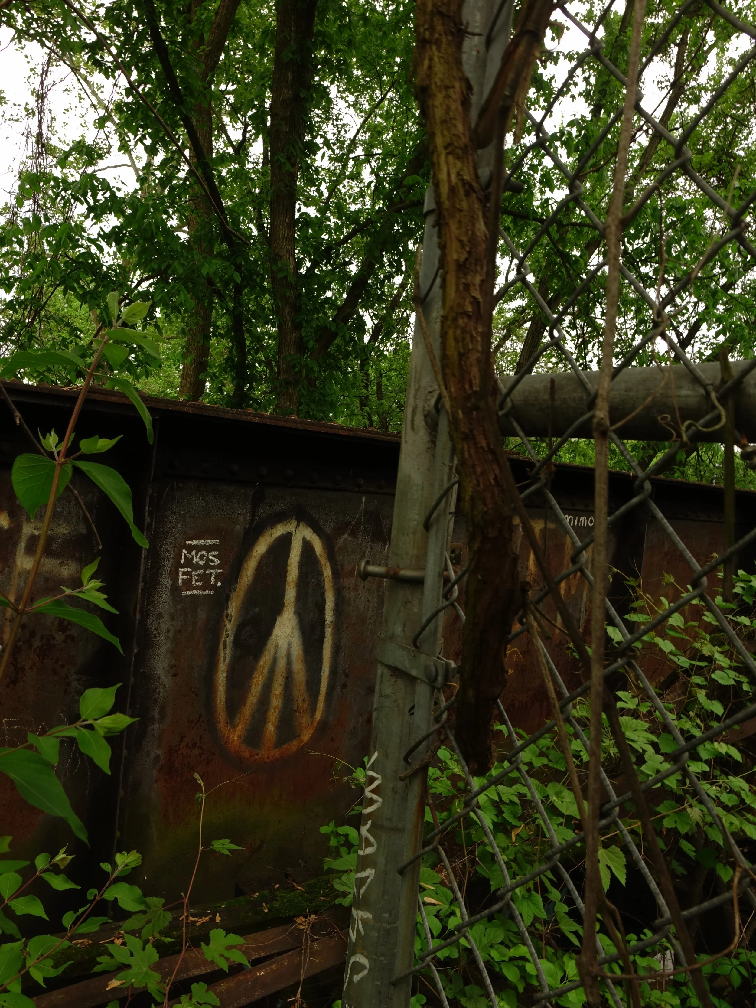 DSC02307.jpeg