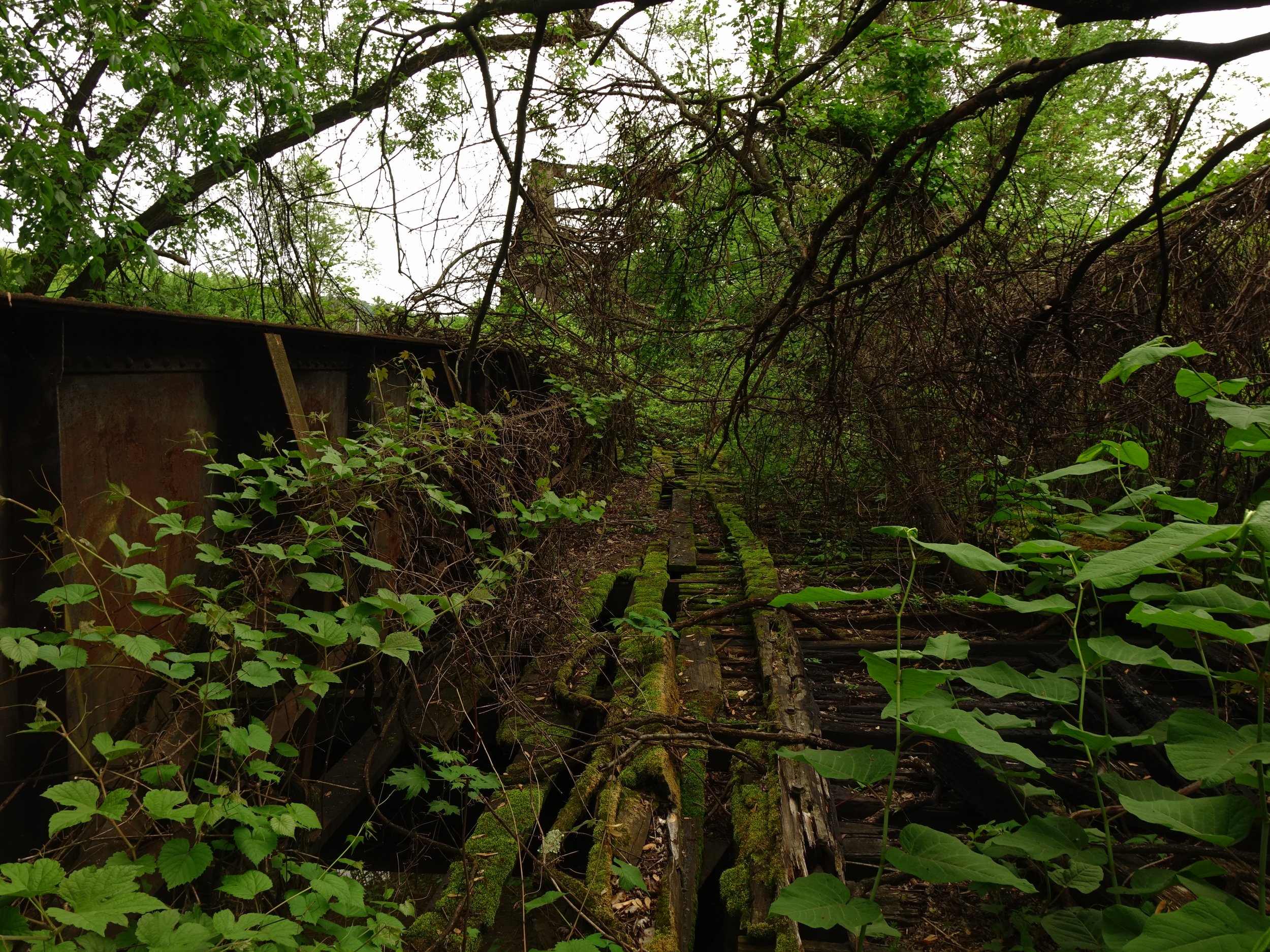 DSC02302.jpeg