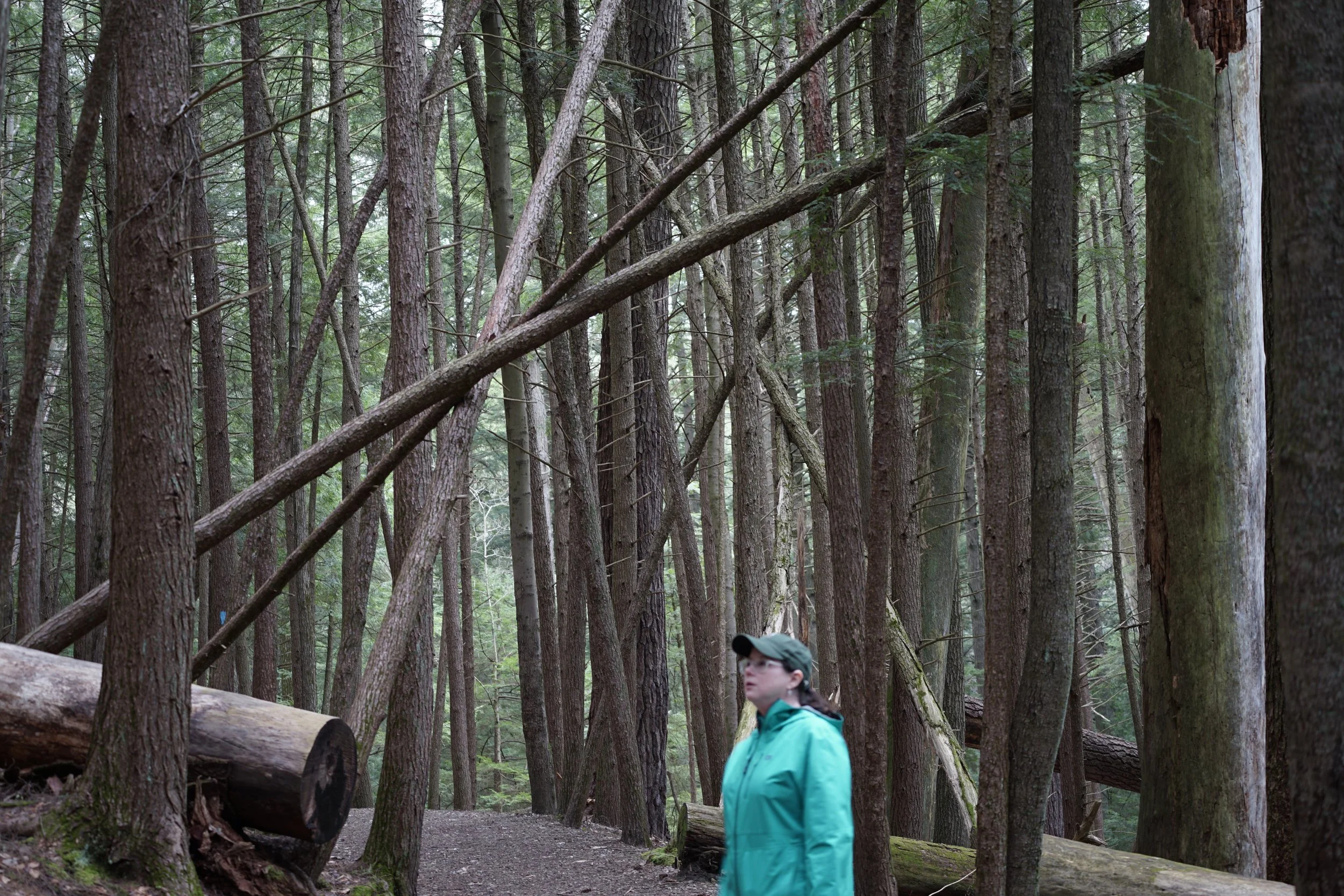 _DSC5578.JPG