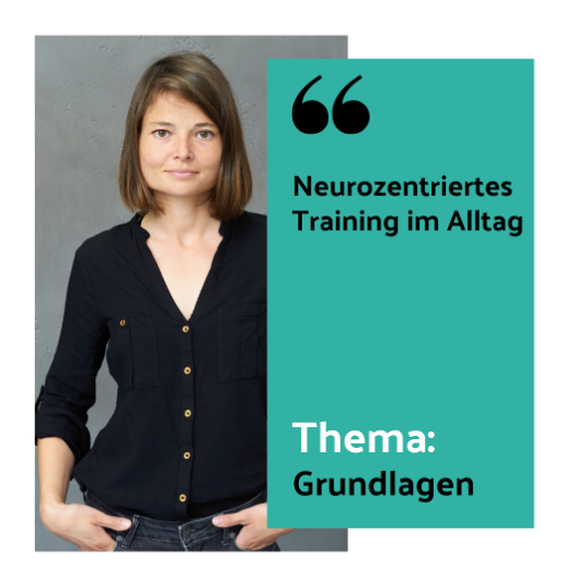 Dein Gehirn als Schlüssel zu Gesundheit und Leistungsfähigkeit