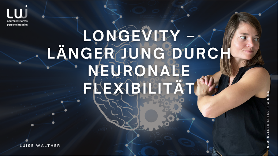 Warum neuronale Flexibilität entscheidet, wie jung dein System bleibt