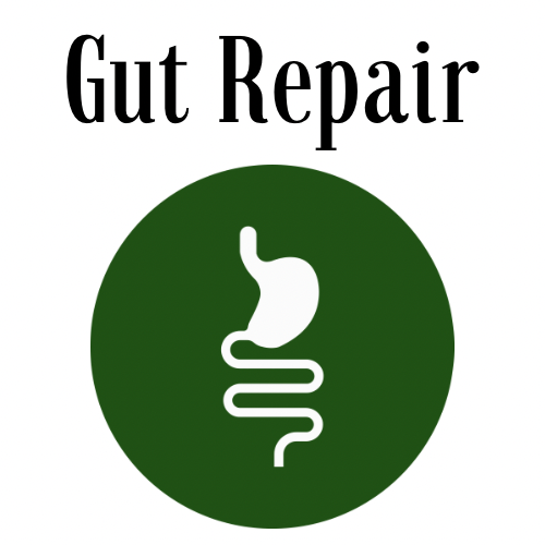 Poster with the text 'Gut Repair' and a graphic of a stomach combined with a spiral-shaped digestive track inside a green circle.