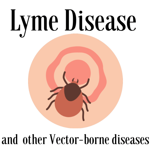 Illustration of a tick on skin, representing Lyme Disease and vector-borne diseases.