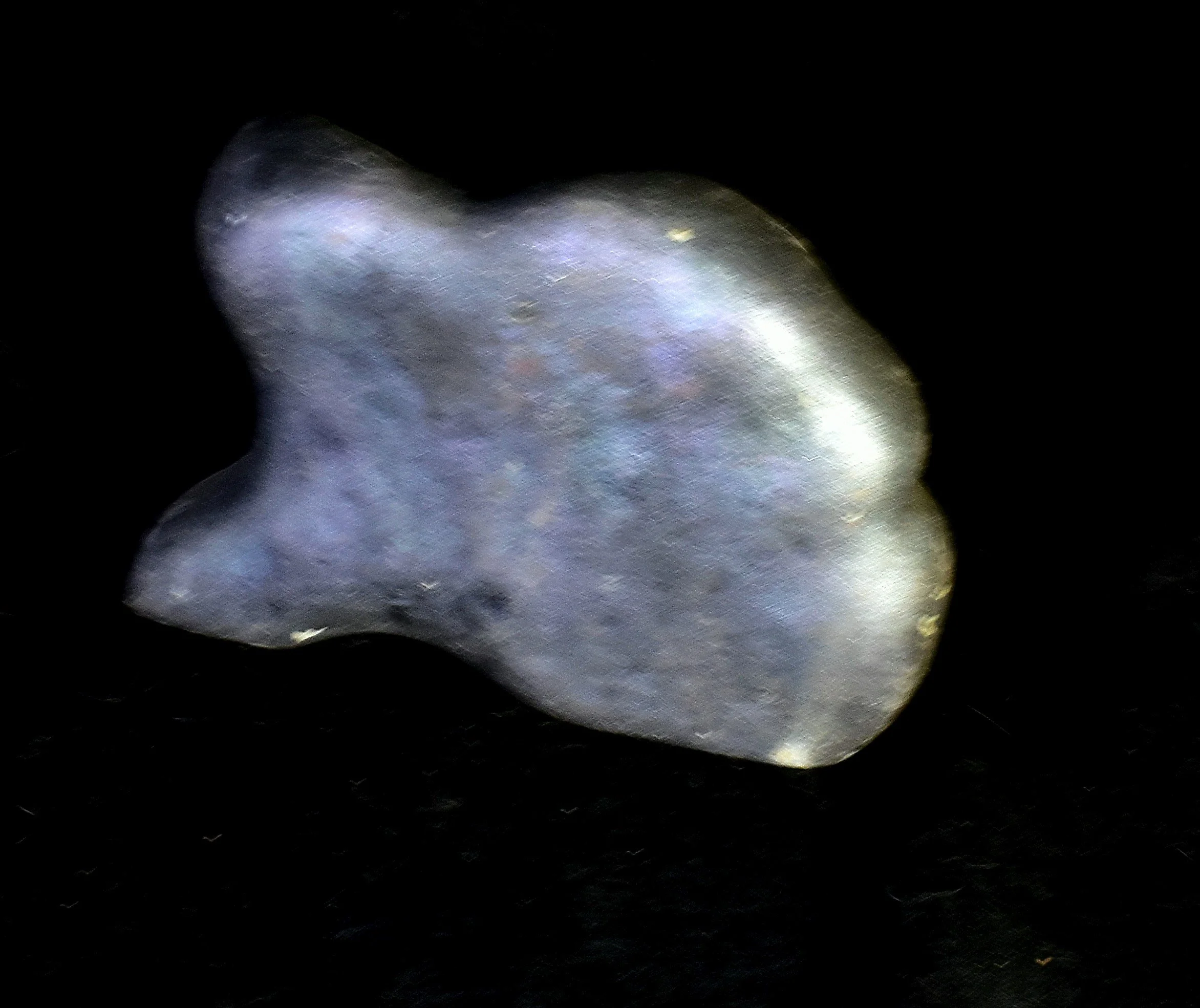 DSC_1636.JPG