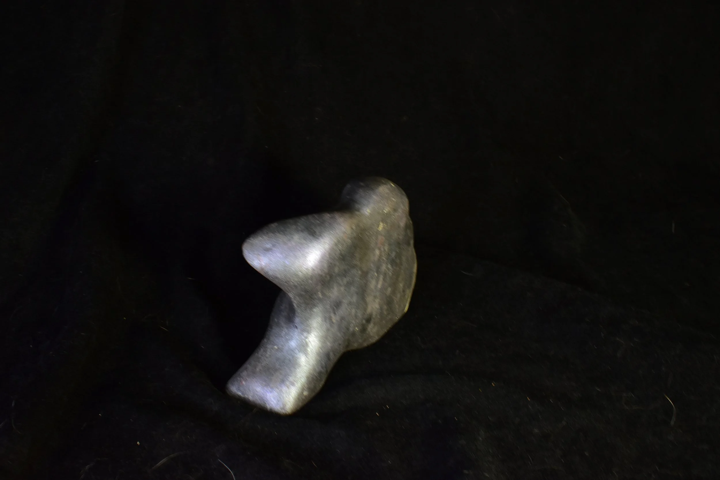 DSC_1637.JPG