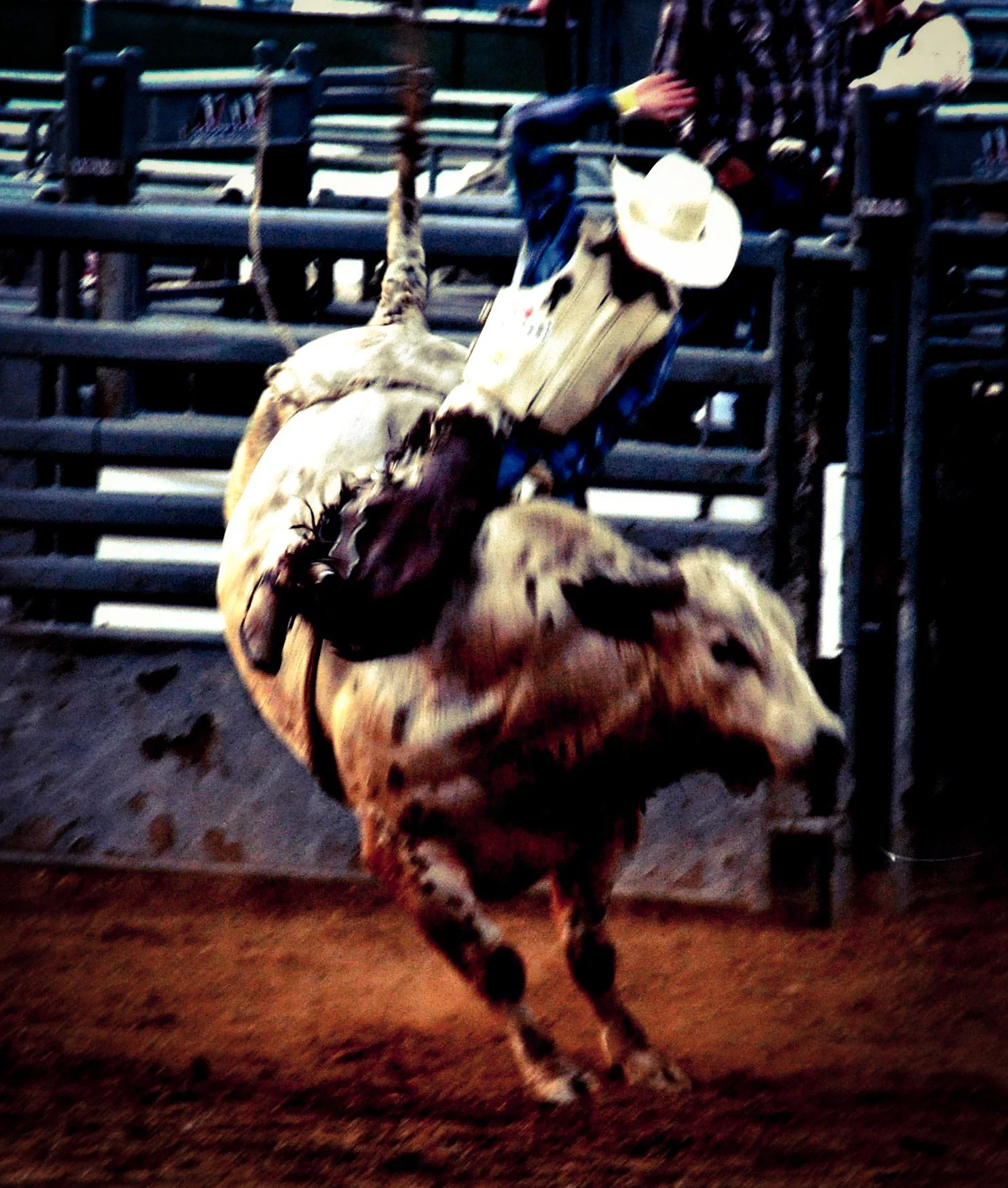 A horse is jumping out of a pen, with a person dressed in a plaid shirt and jeans holding a cowboy hat in the background, at a rodeo or outdoor event.