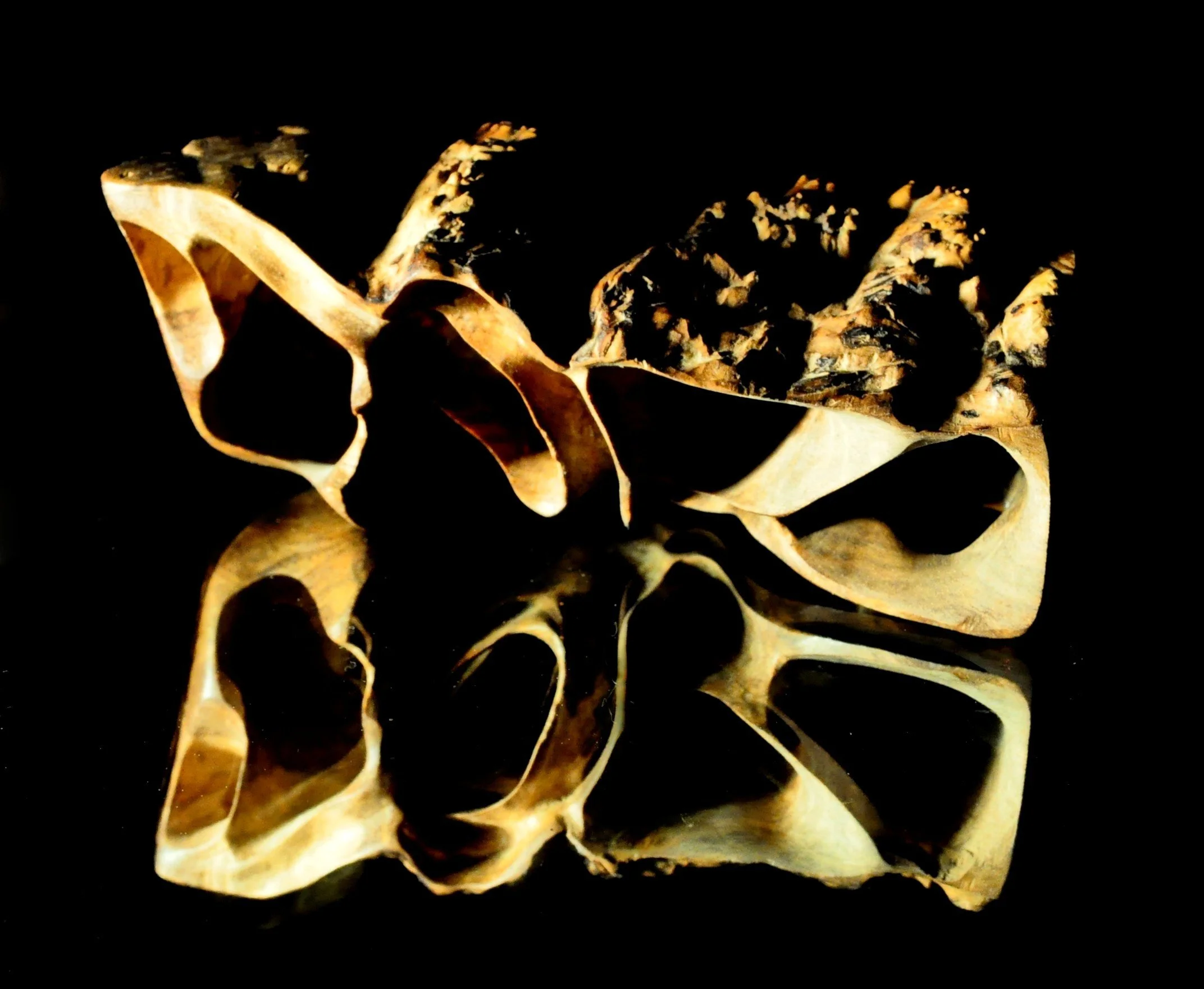 art-1.800.JPG