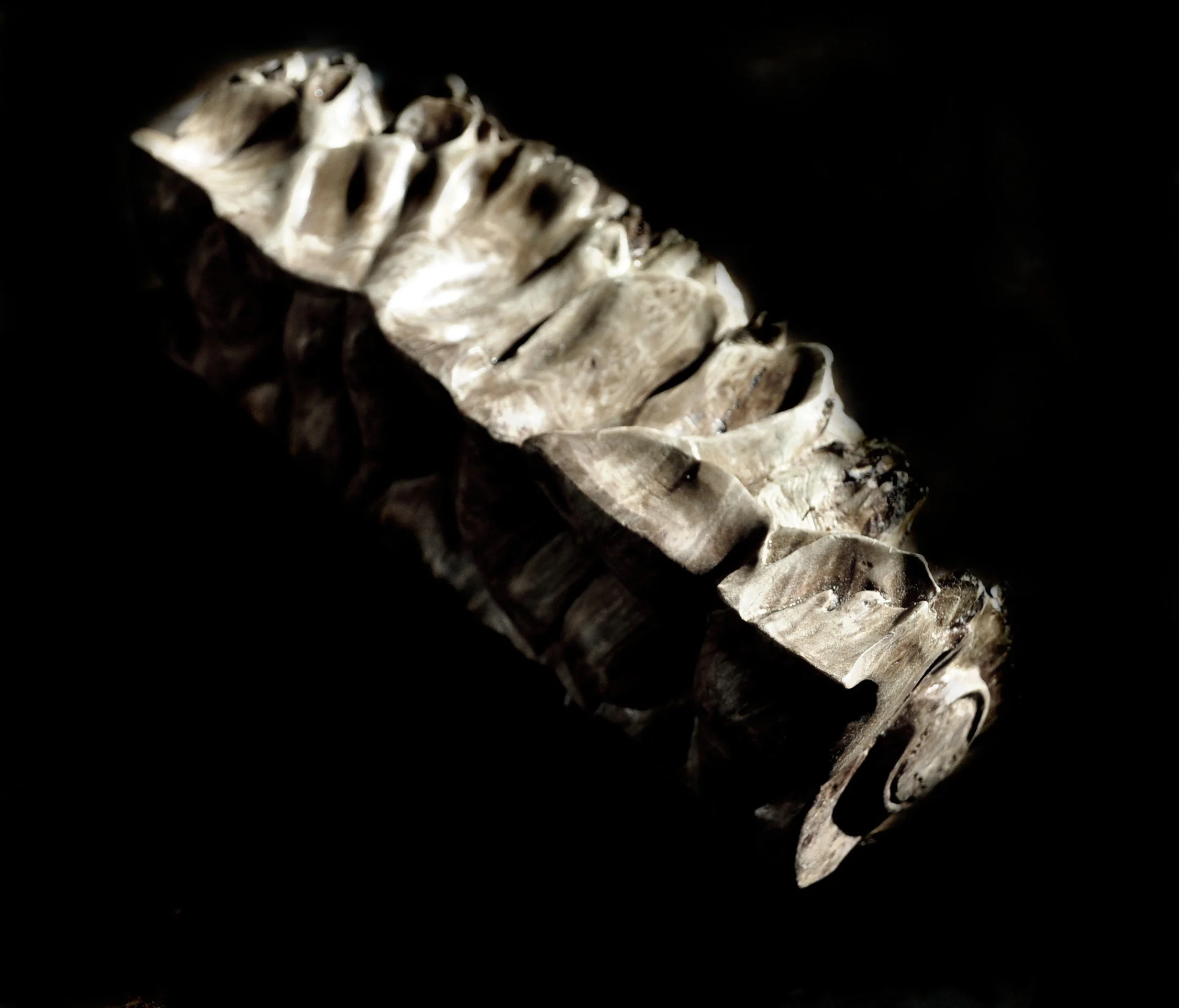art9 234.JPG