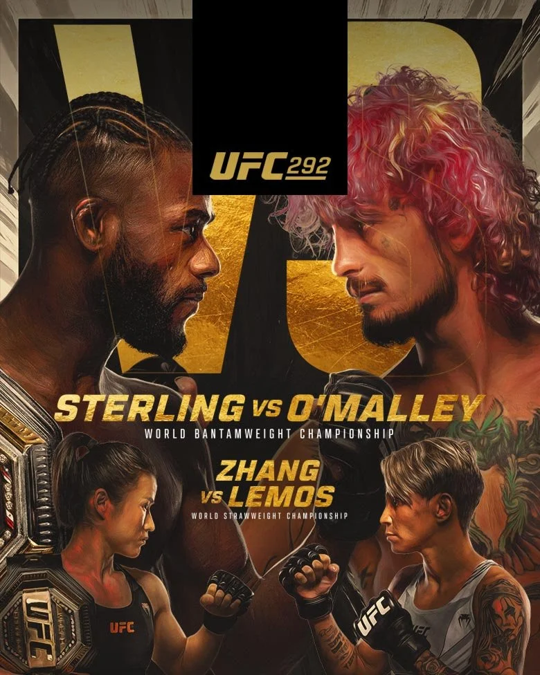UFC 292 Preview
