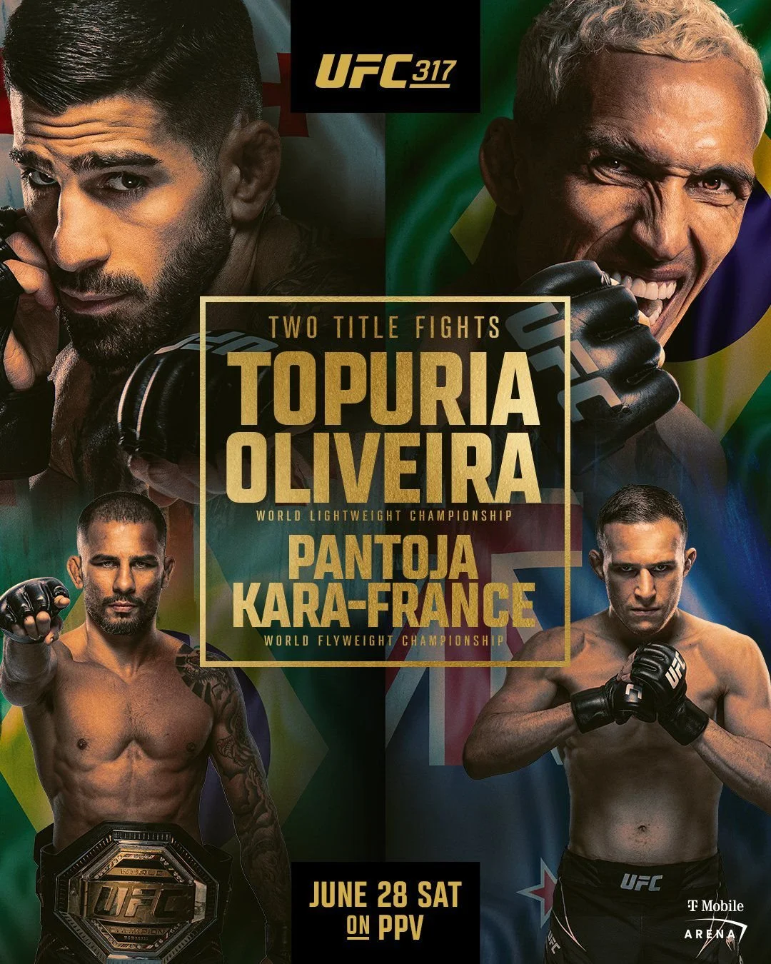 UFC 317 Preview